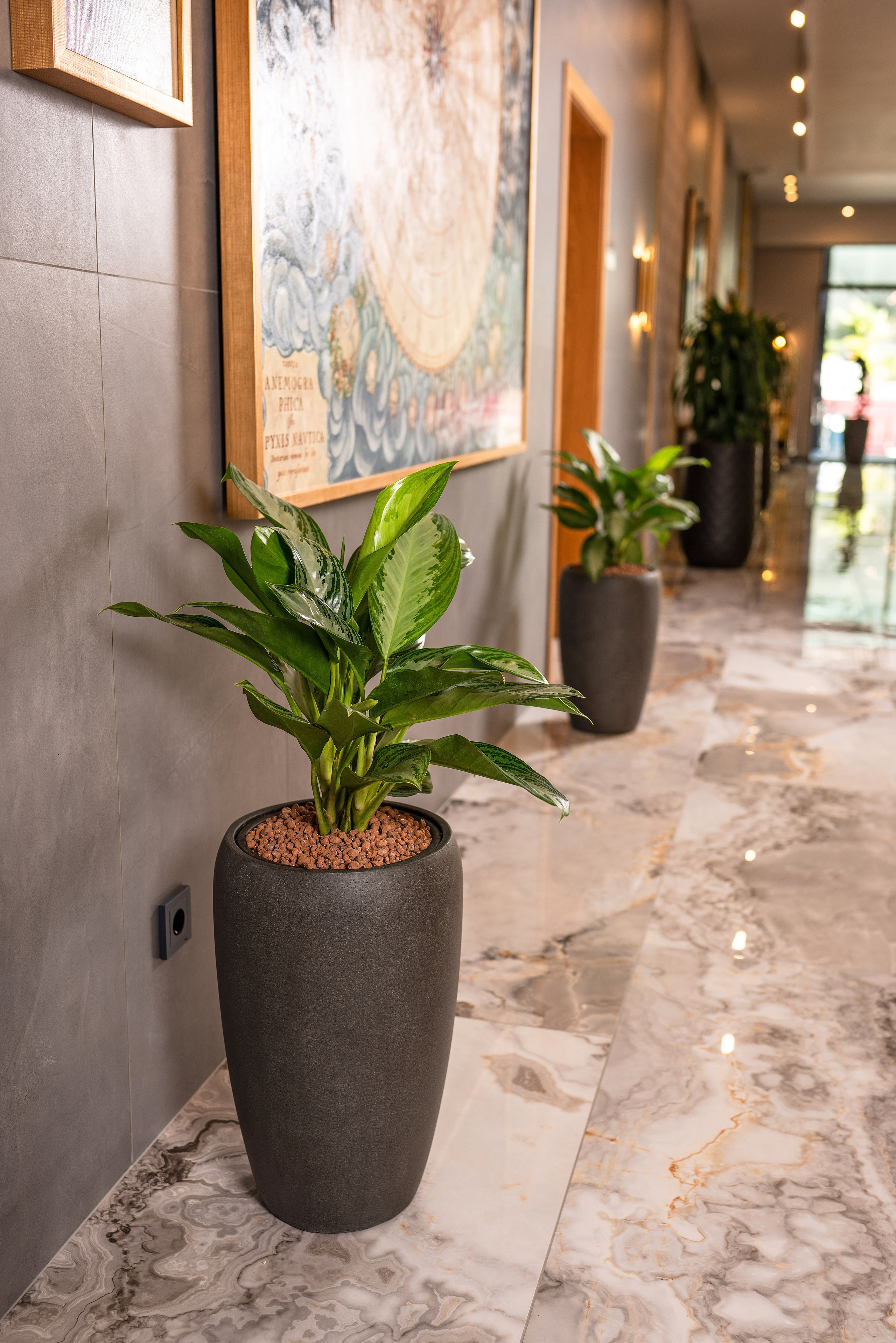 Интерьерный фотограф Сочи. Фотограф Сочи