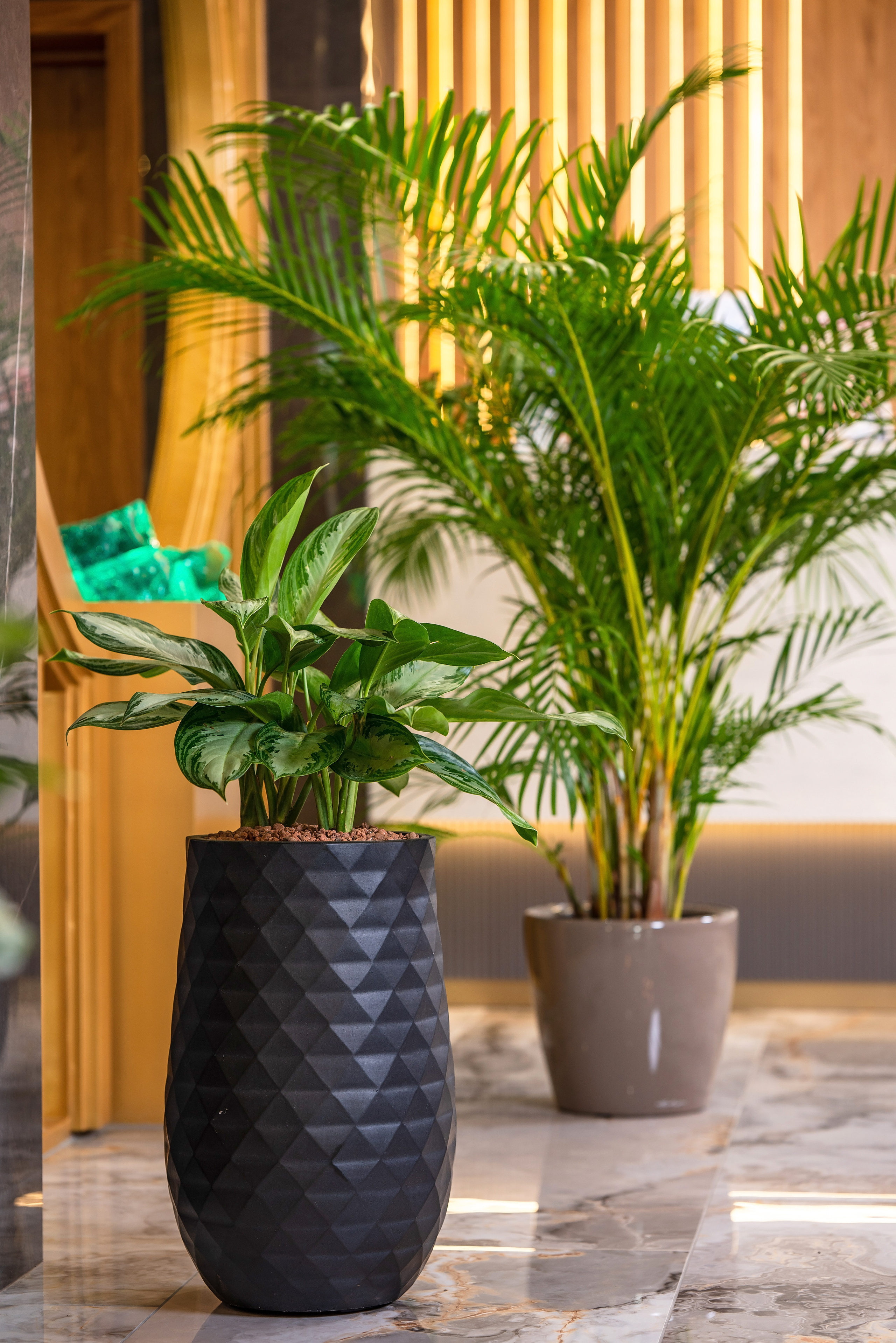 Интерьерный фотограф Сочи. Фотограф Сочи