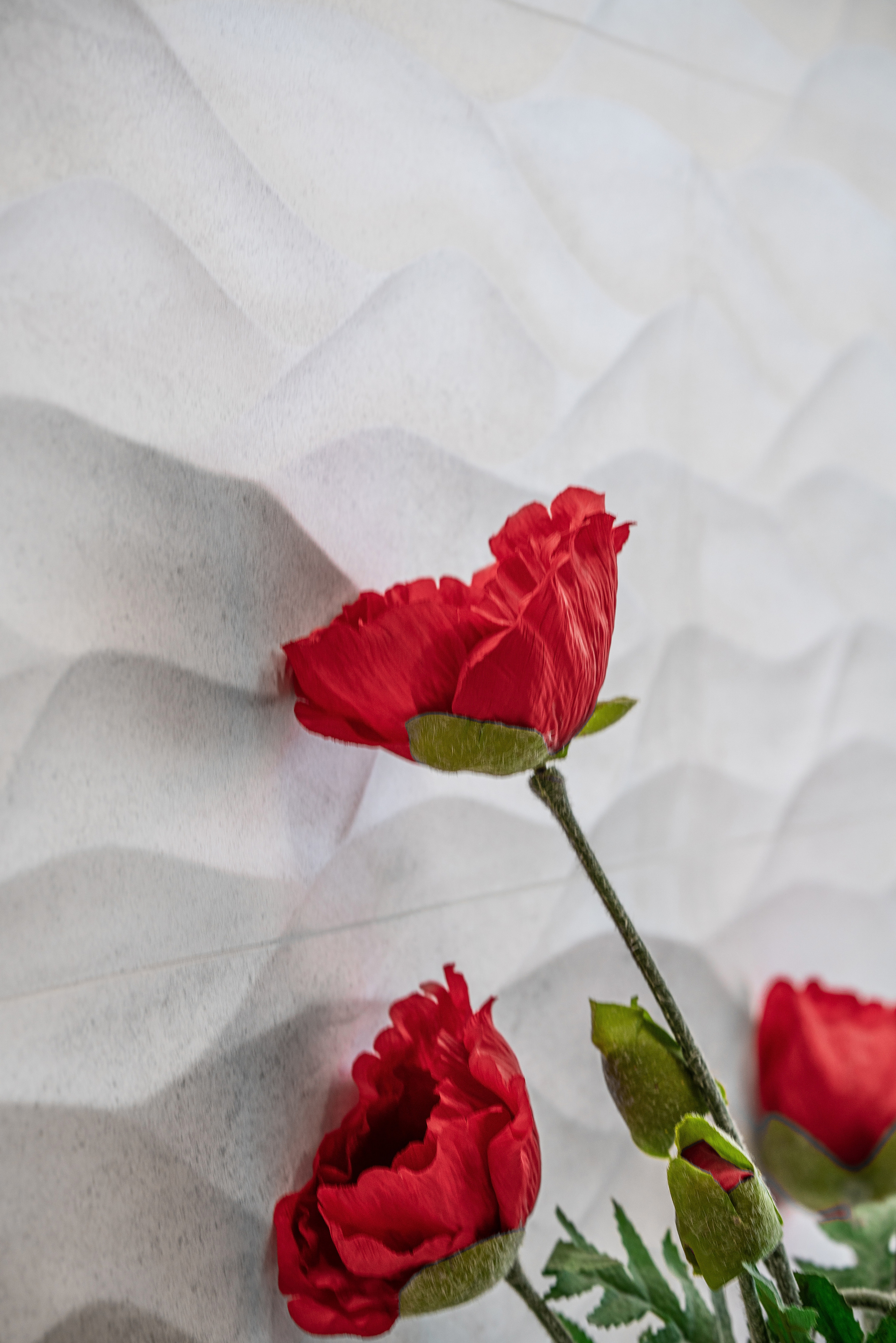 Интерьерная сьемка Адлер. Фотограф Сочи