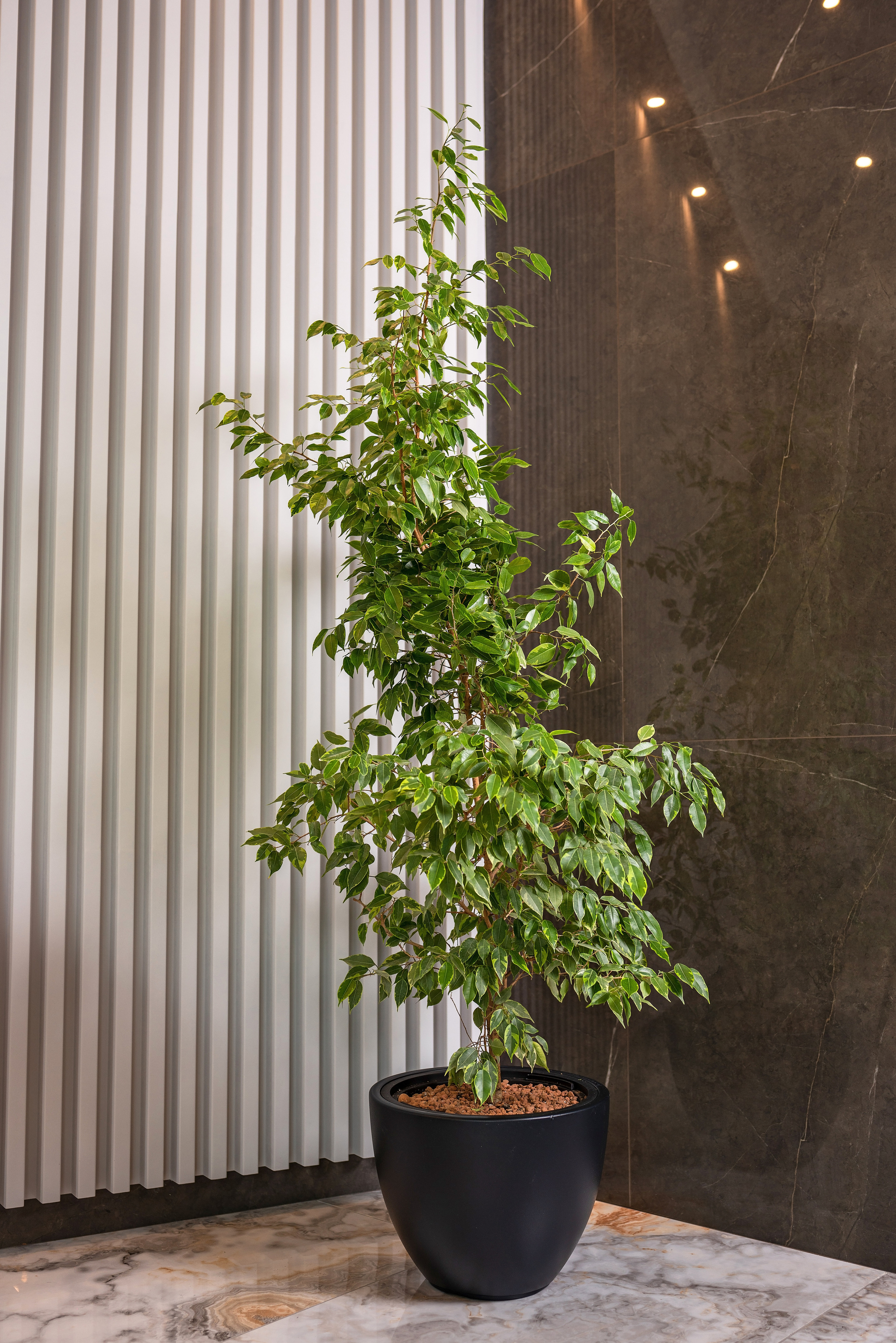 Интерьерный фотограф Сочи. Фотограф Сочи