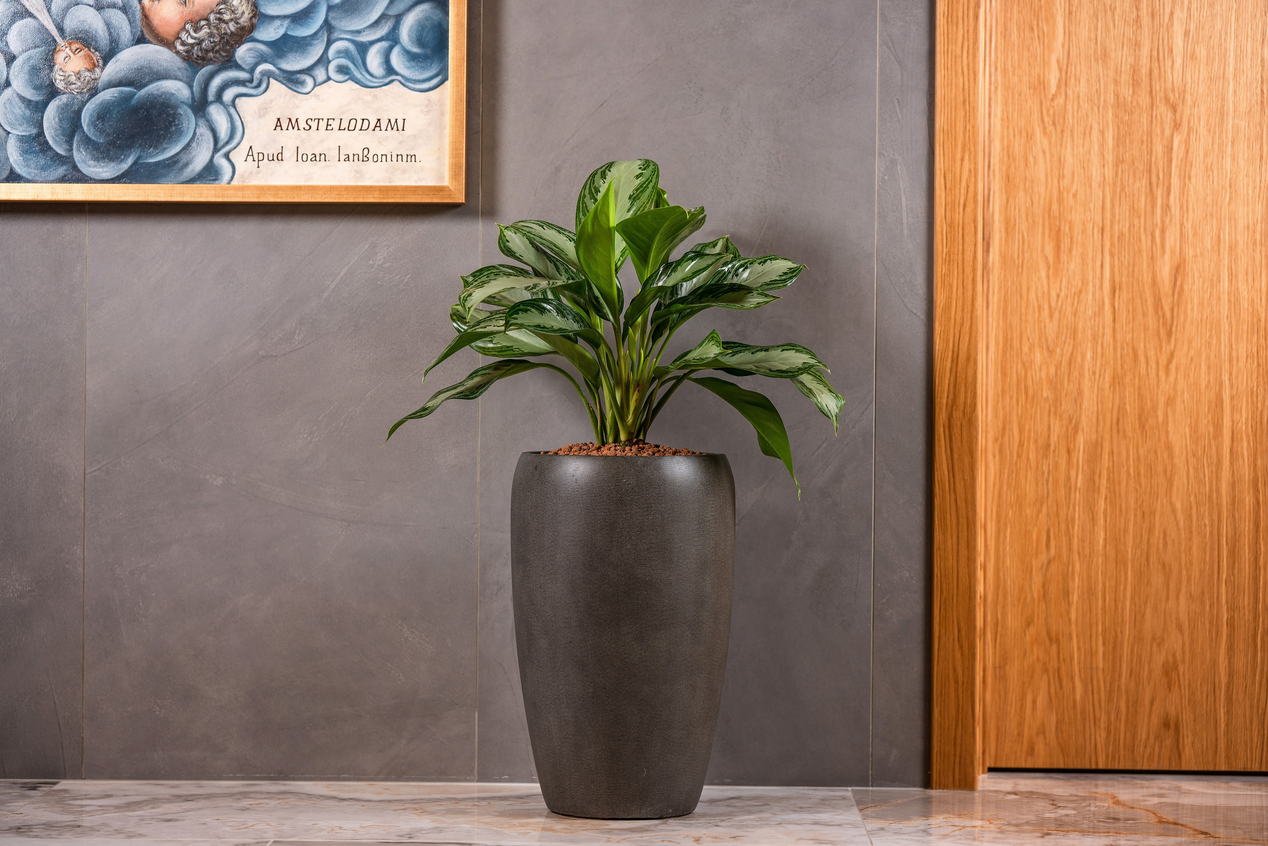 Интерьерный фотограф Сочи. Фотограф Сочи