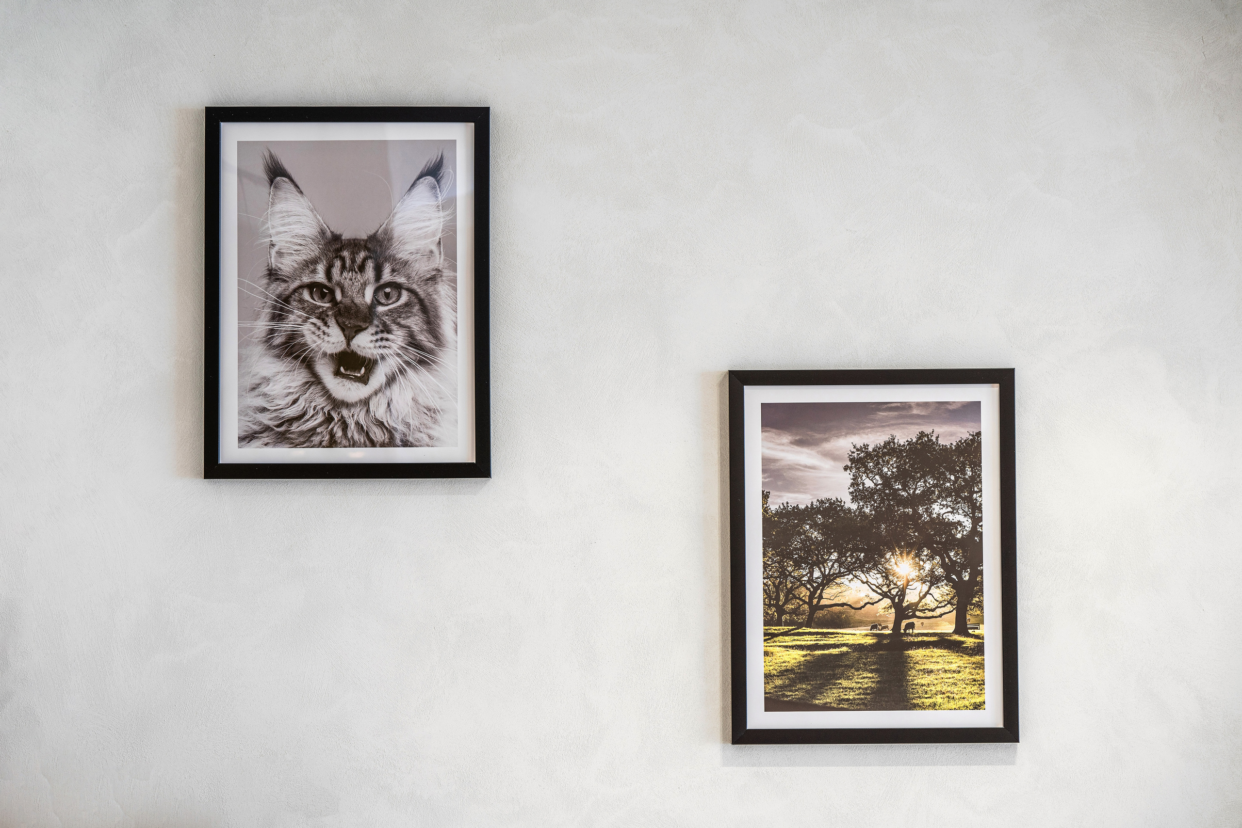 Интерьерная сьемка Адлер. Фотограф Сочи