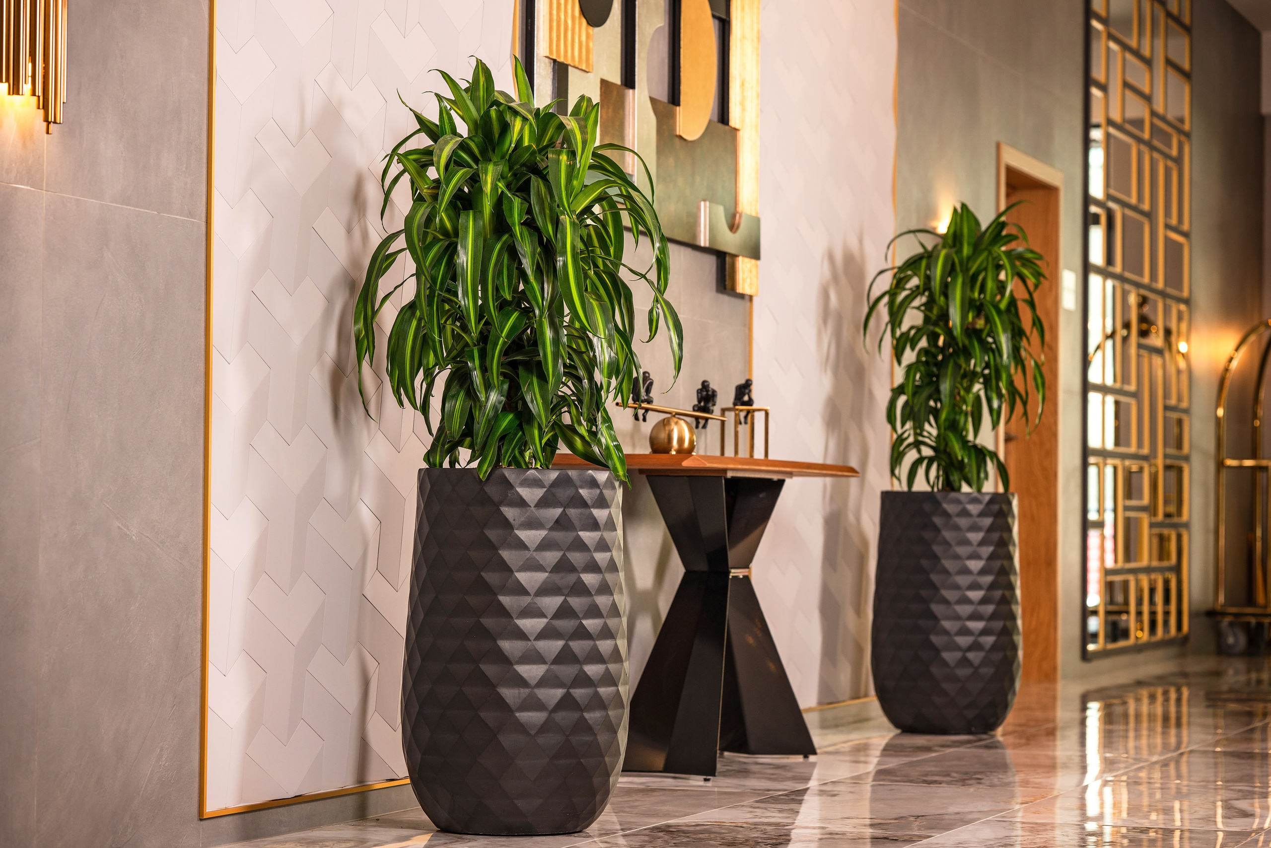 Интерьерный фотограф Сочи. Фотограф Сочи