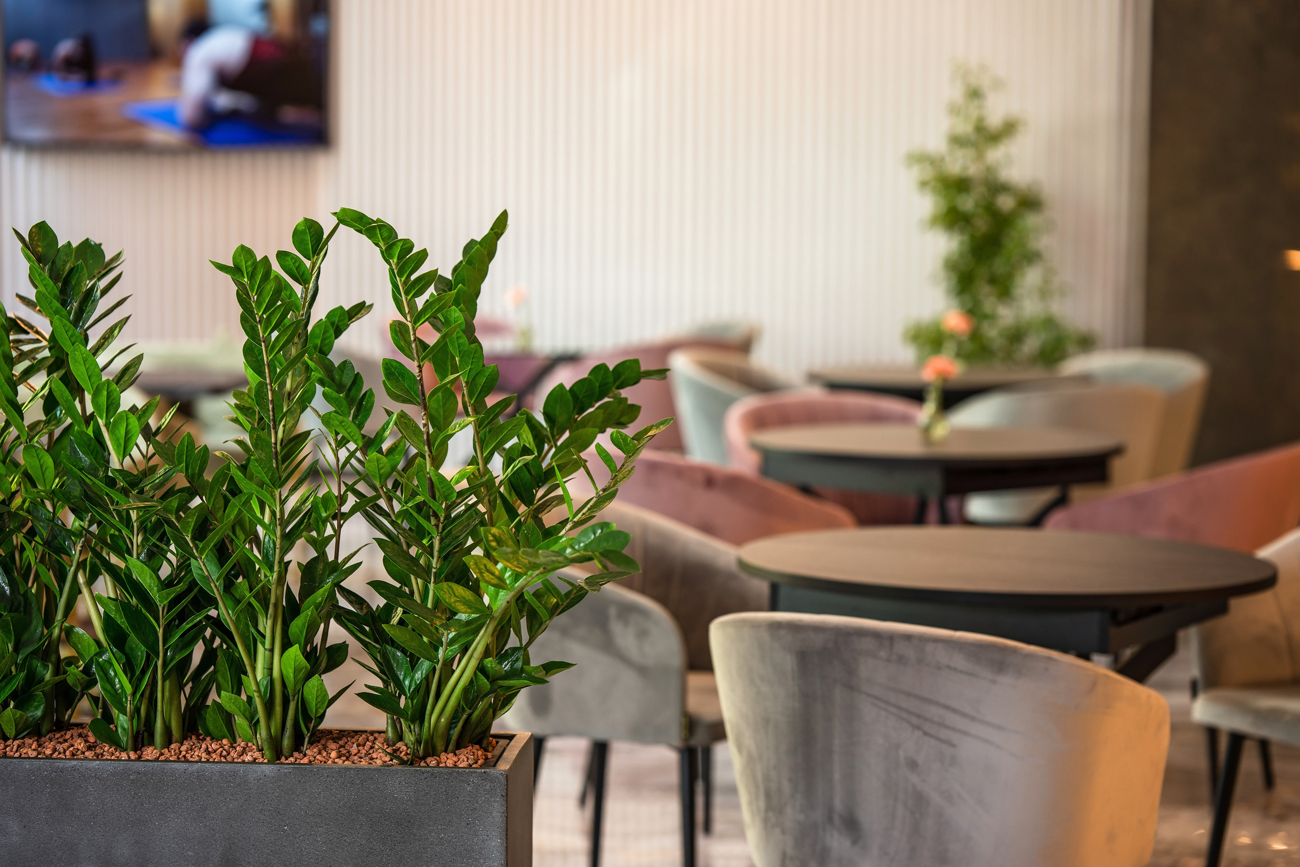 Интерьерный фотограф Сочи. Фотограф Сочи