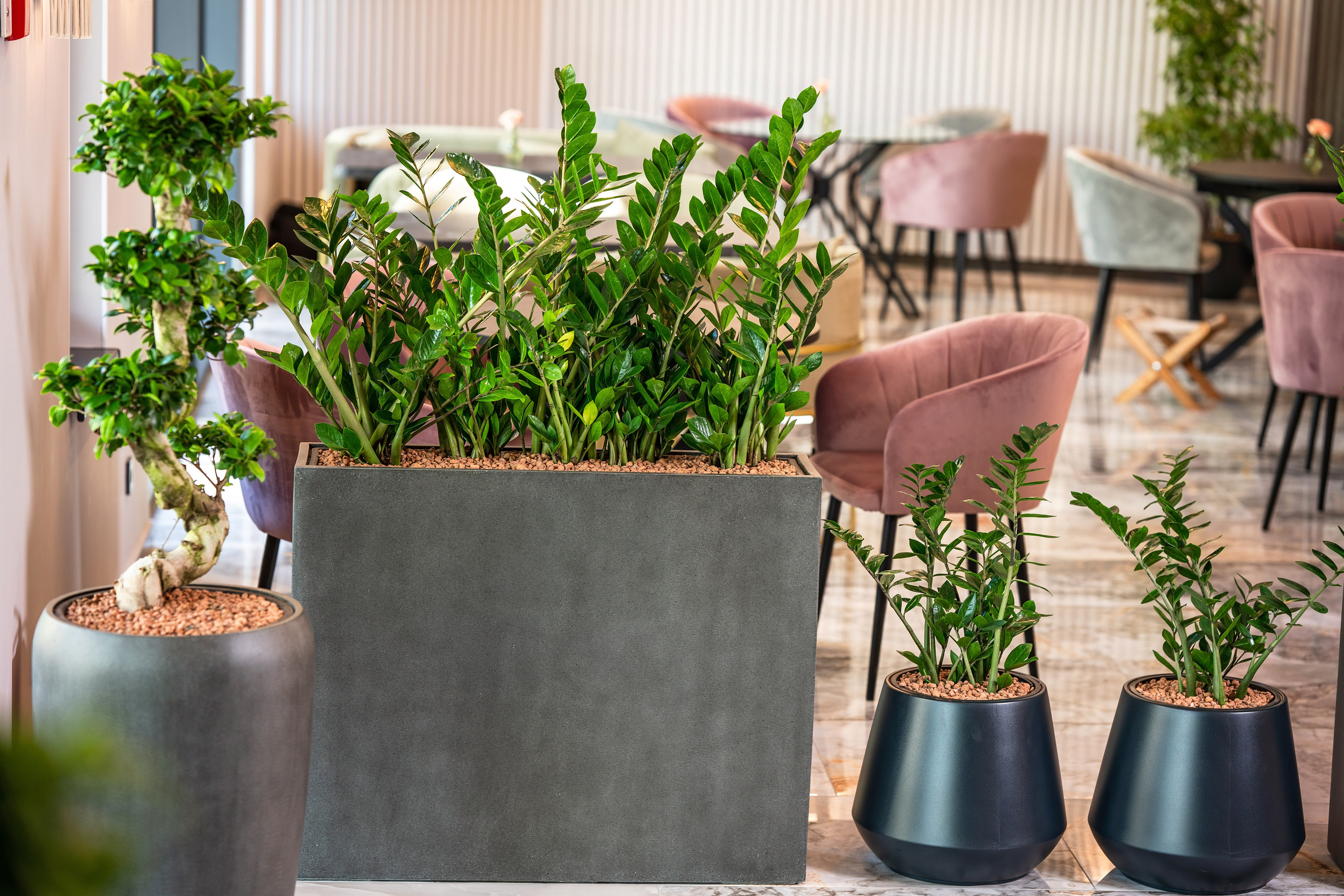 Интерьерный фотограф Сочи. Фотограф Сочи