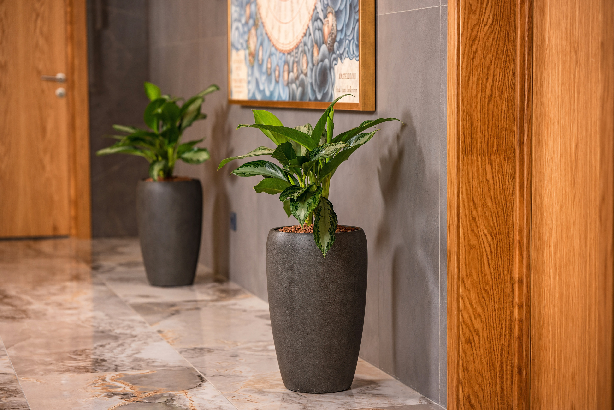 Интерьерный фотограф Сочи. Фотограф Сочи