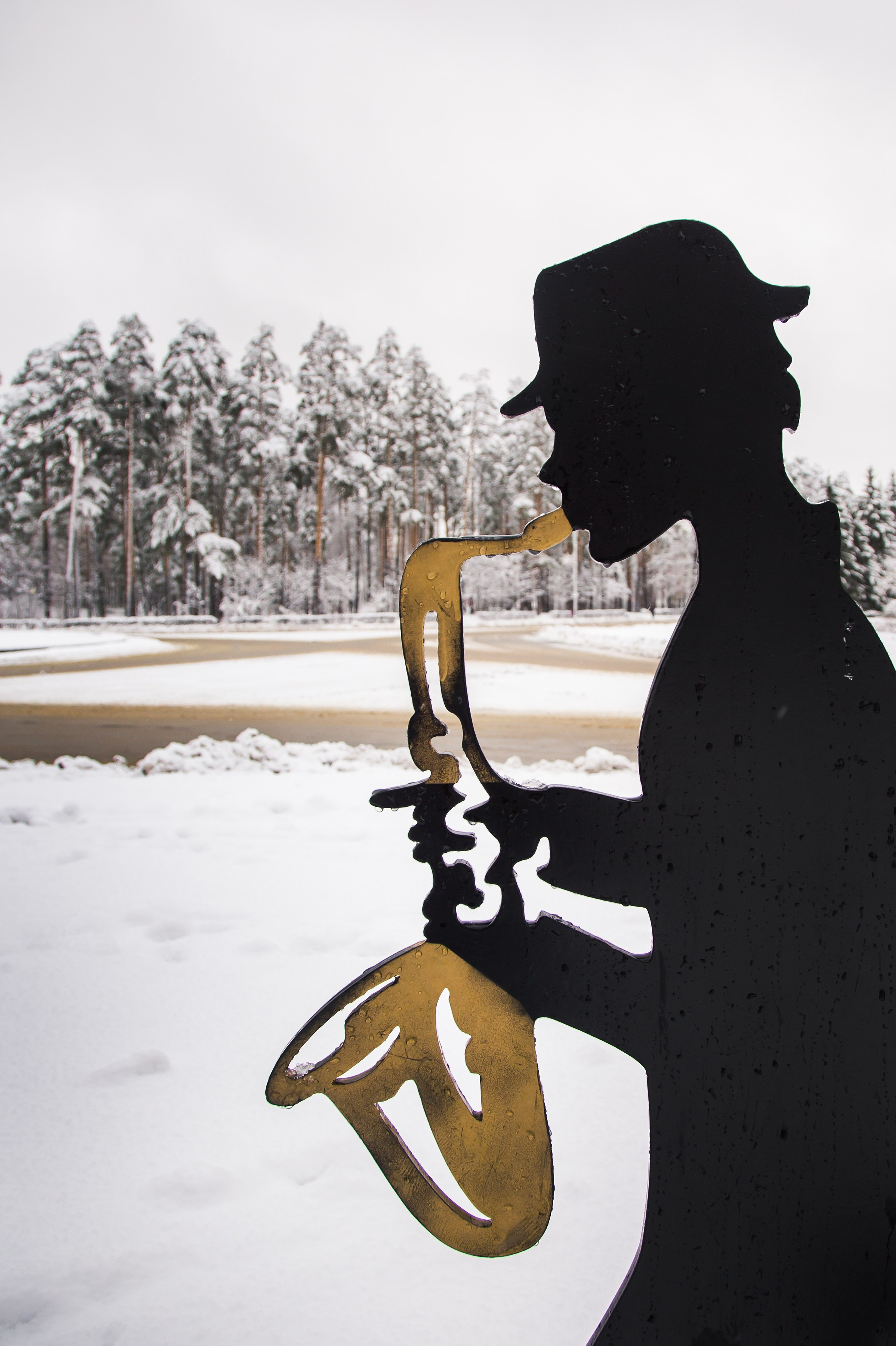 Красота Заречного. Репортажный, семейный и детский фотограф в Пензе и Заречном Арина Ермилова. Картины барельеф на заказ