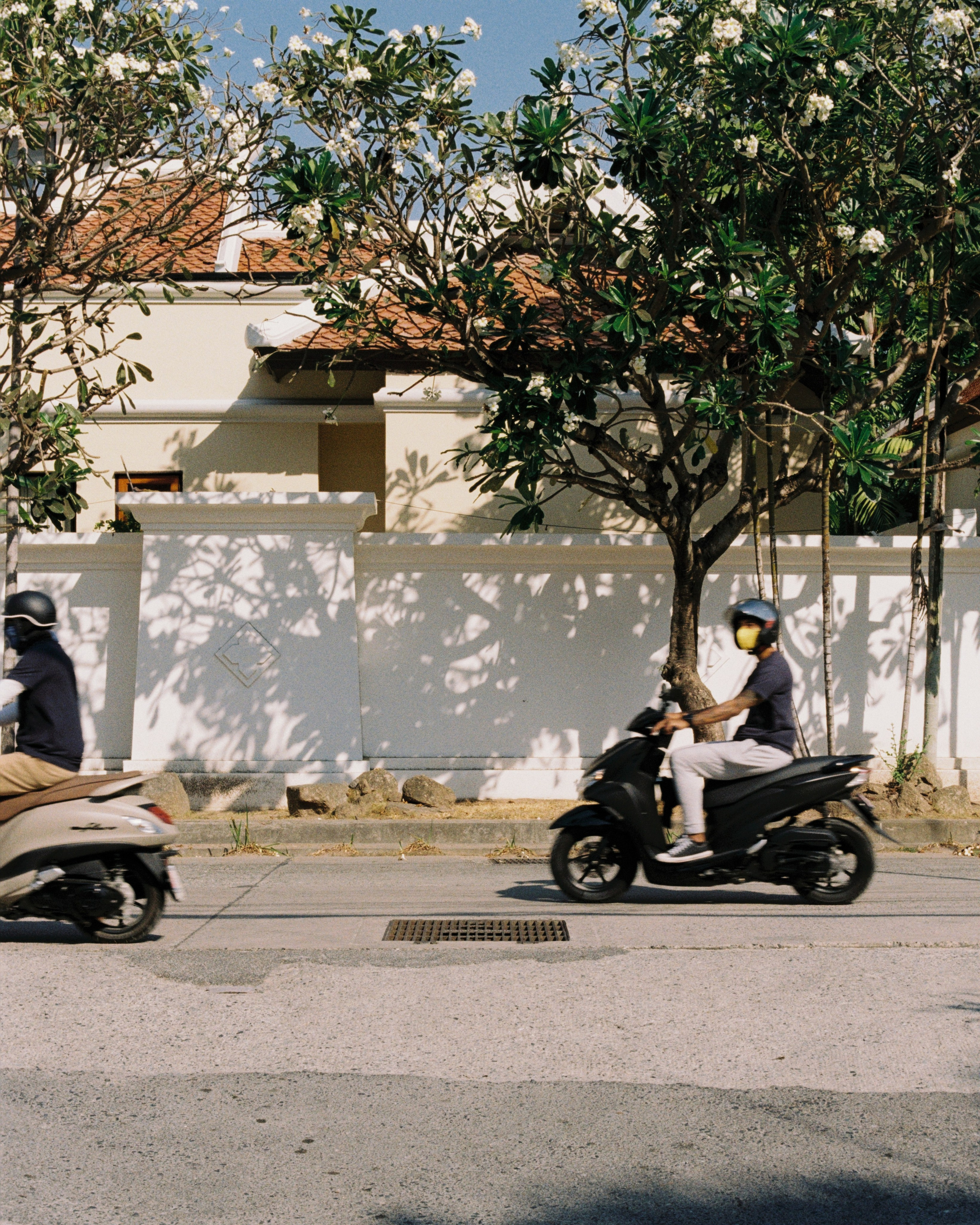 Thailand. Kirill Shashkov