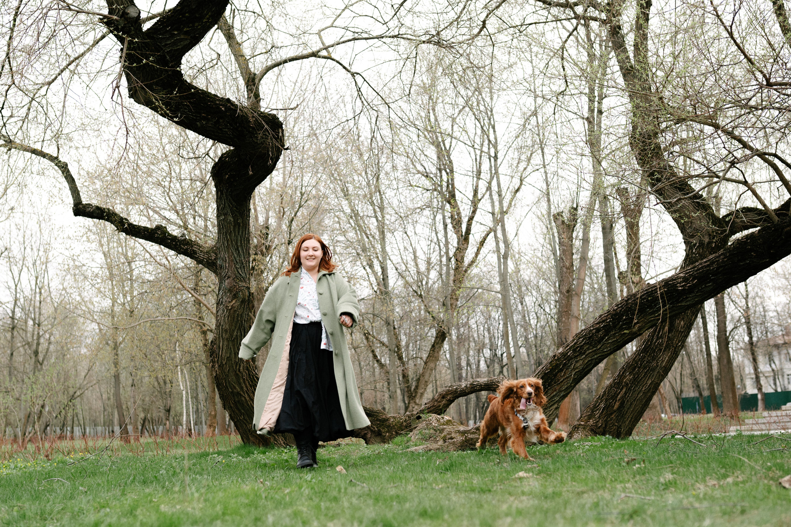 Рыжая команда. Фотограф анималист в Москве Ольга Агушева
