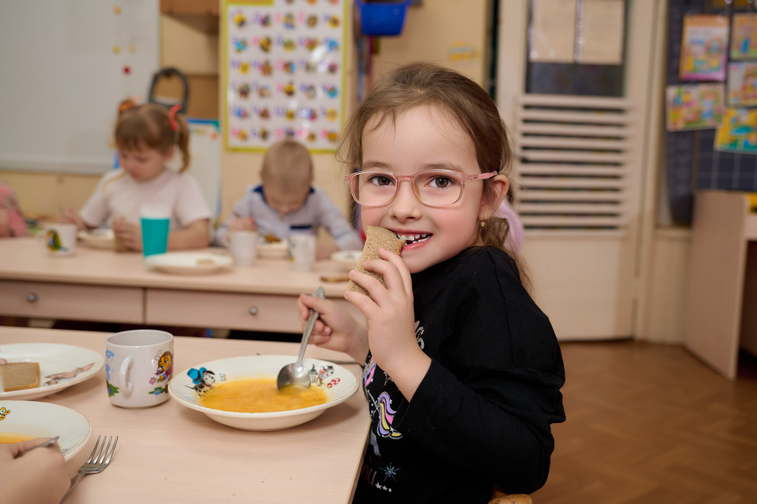 Выпускной альбом Выборг, Каменногорск, Светогорск, Санкт-Петербург