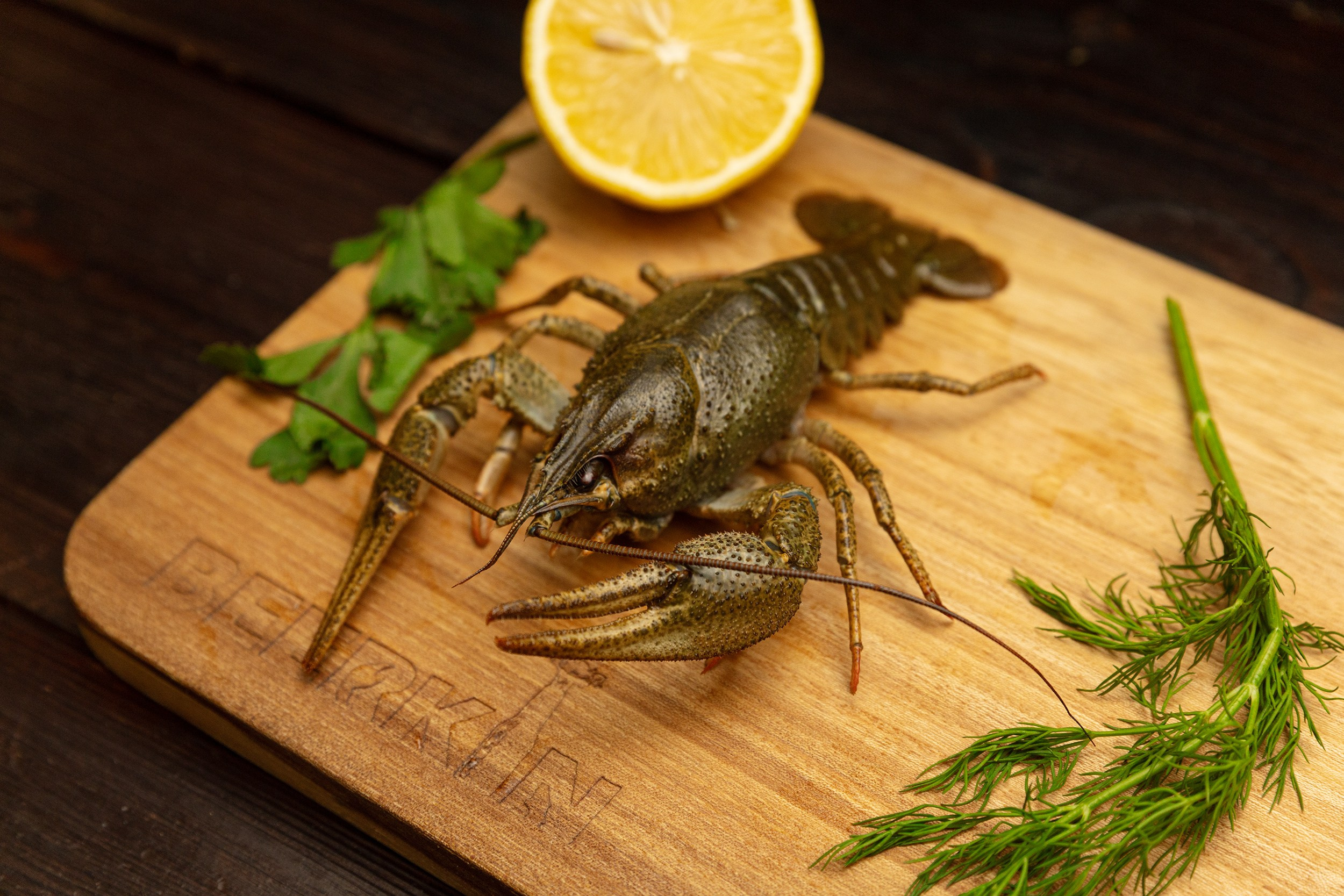 Beerkin, продуктовый магазин. Мегион. Фотограф Тюмень