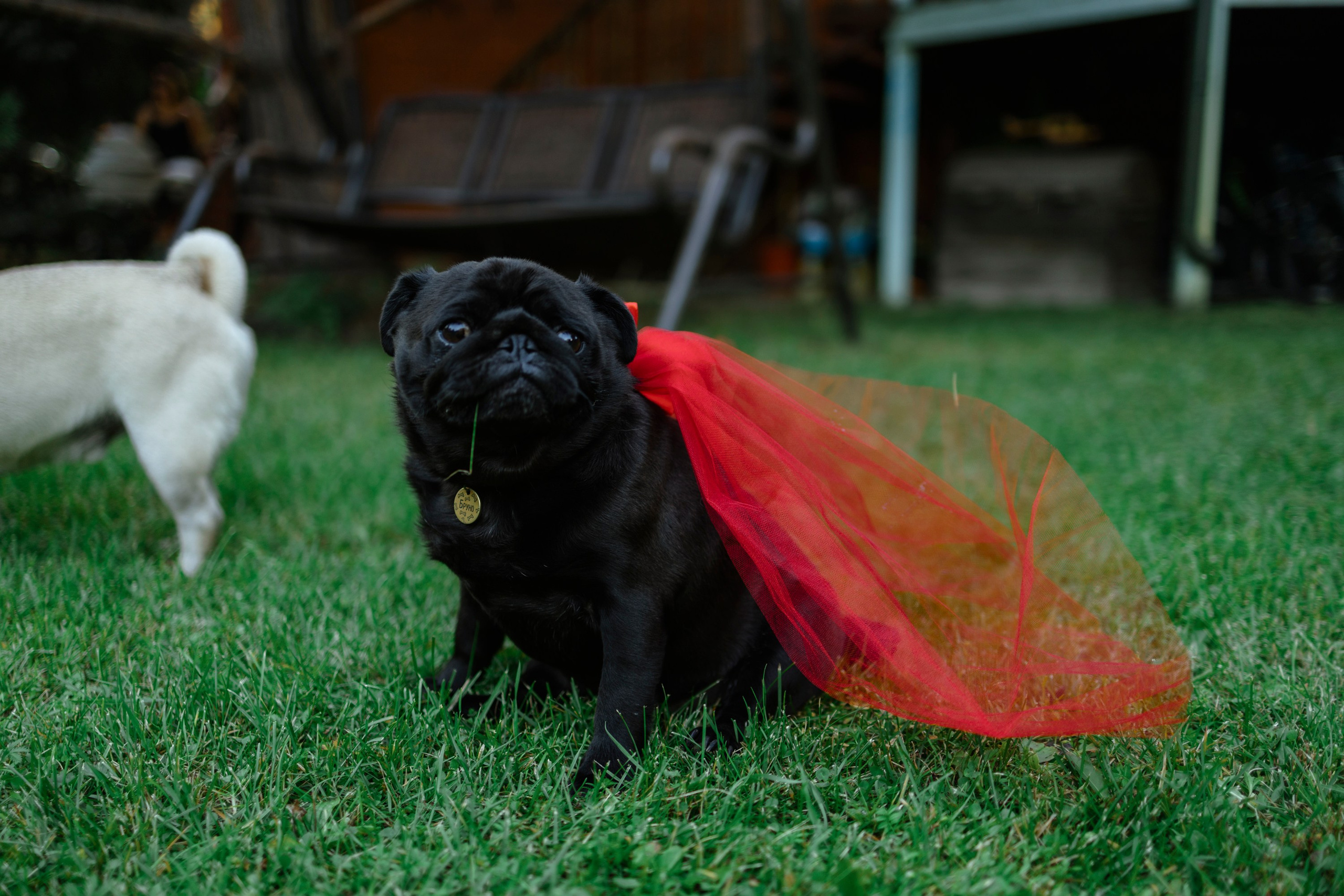 Девичник. Фотограф в Москве |Локтионова Екатерина | LOKKA