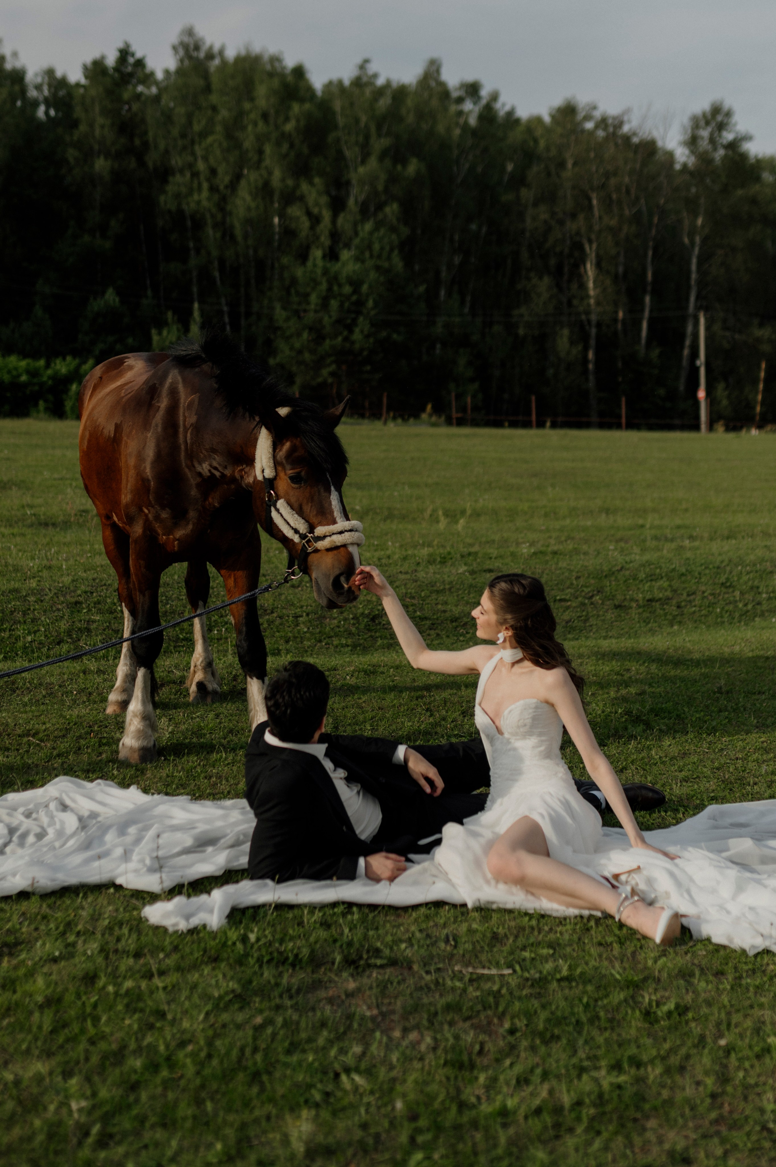 Артур и Таисия. Свадебный и Семейный фотограф в Ярославле Алёна Колясникова