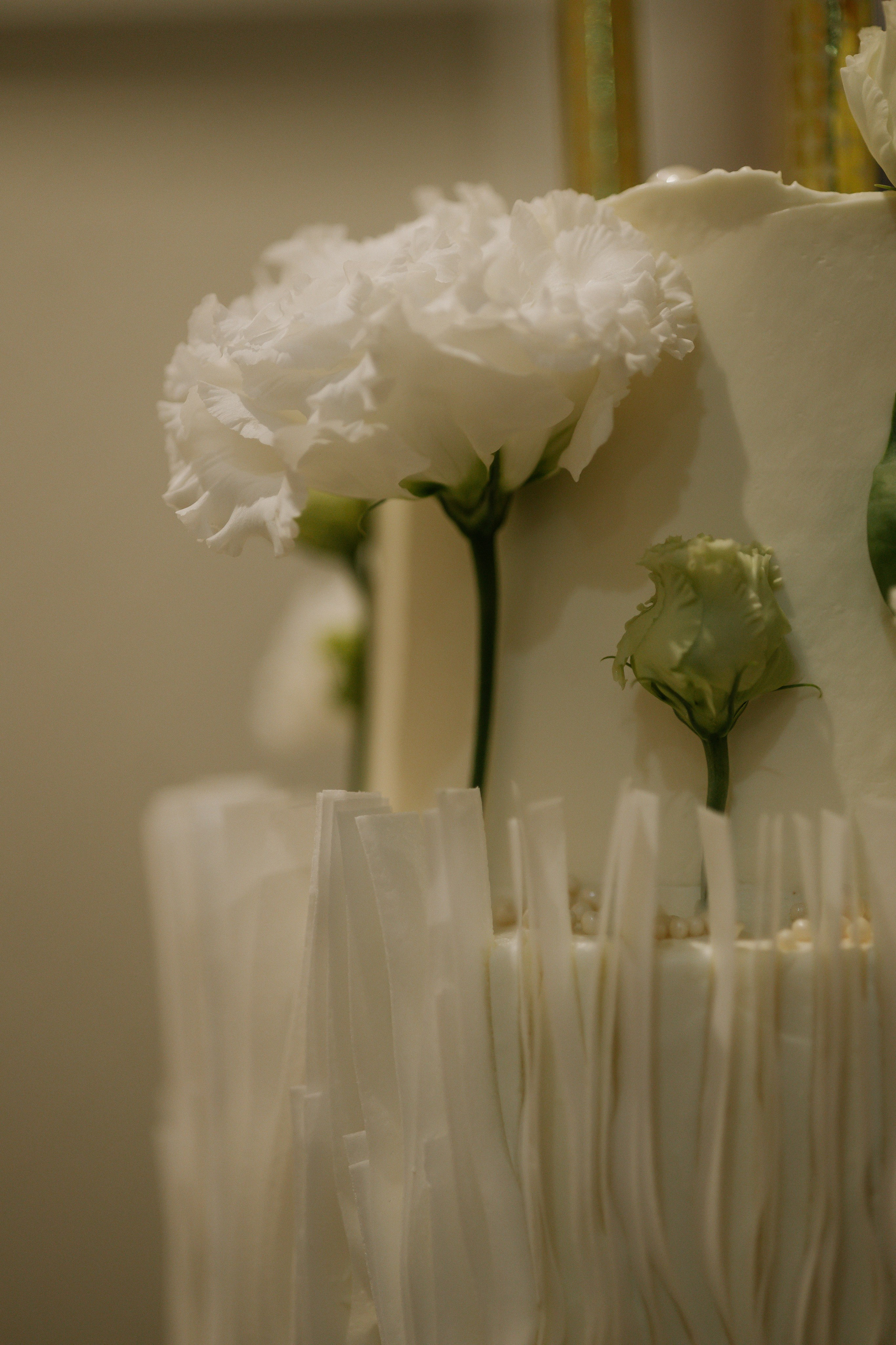 T&A. Свадебный и Семейный фотограф в городе Тимашевск и Краснодар