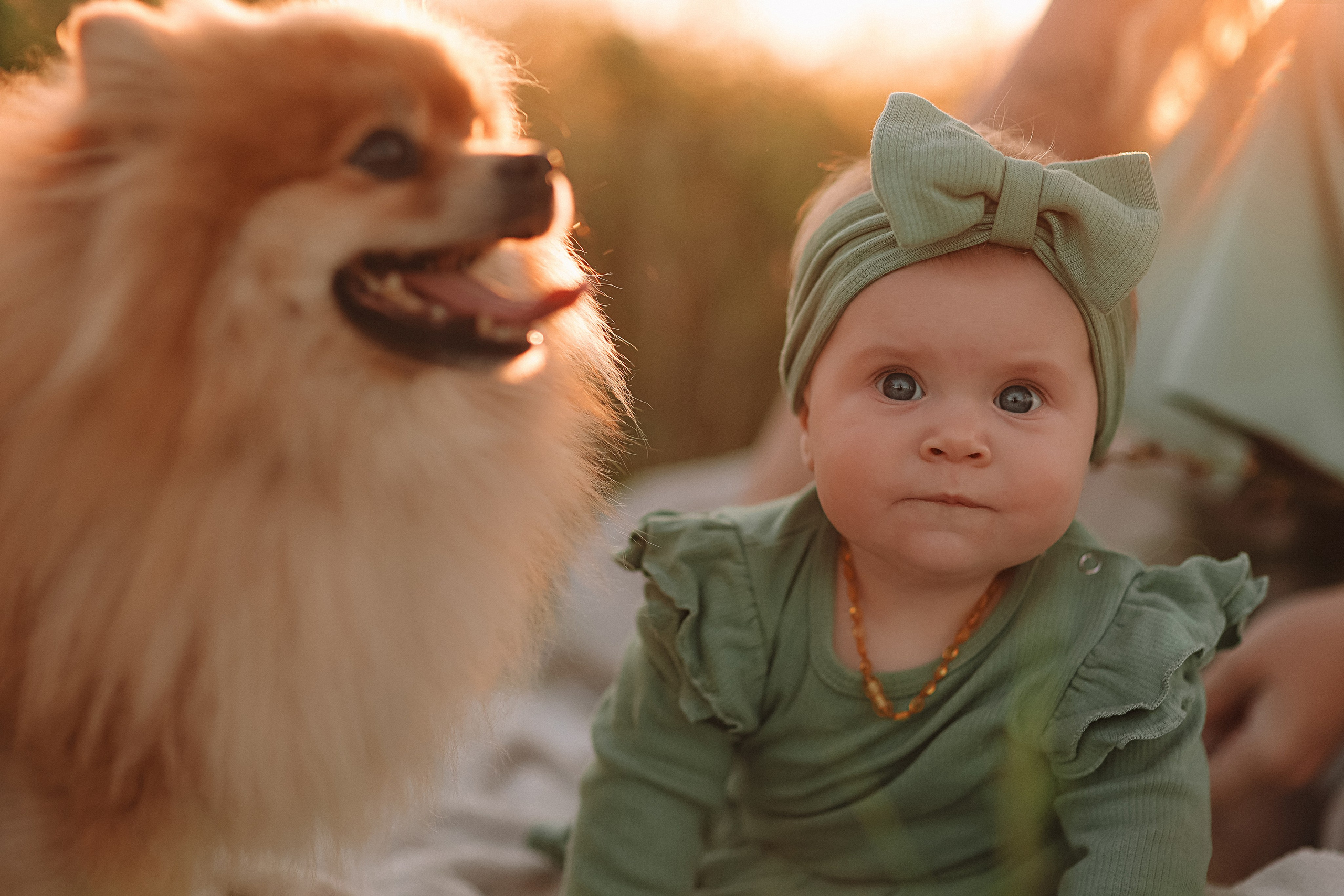 Закатное поле семейная. Семейный фотограф Тюмень, фотограф на роды Салмина Мария