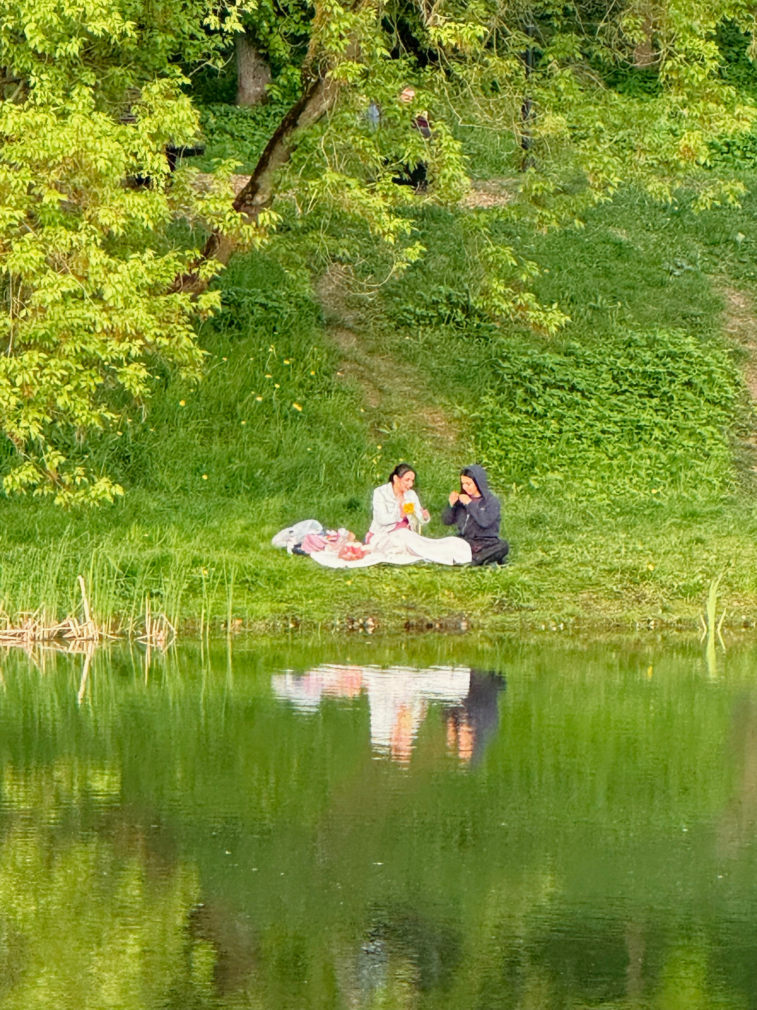 Отдых у прудика в парке «Свибловские пруды»