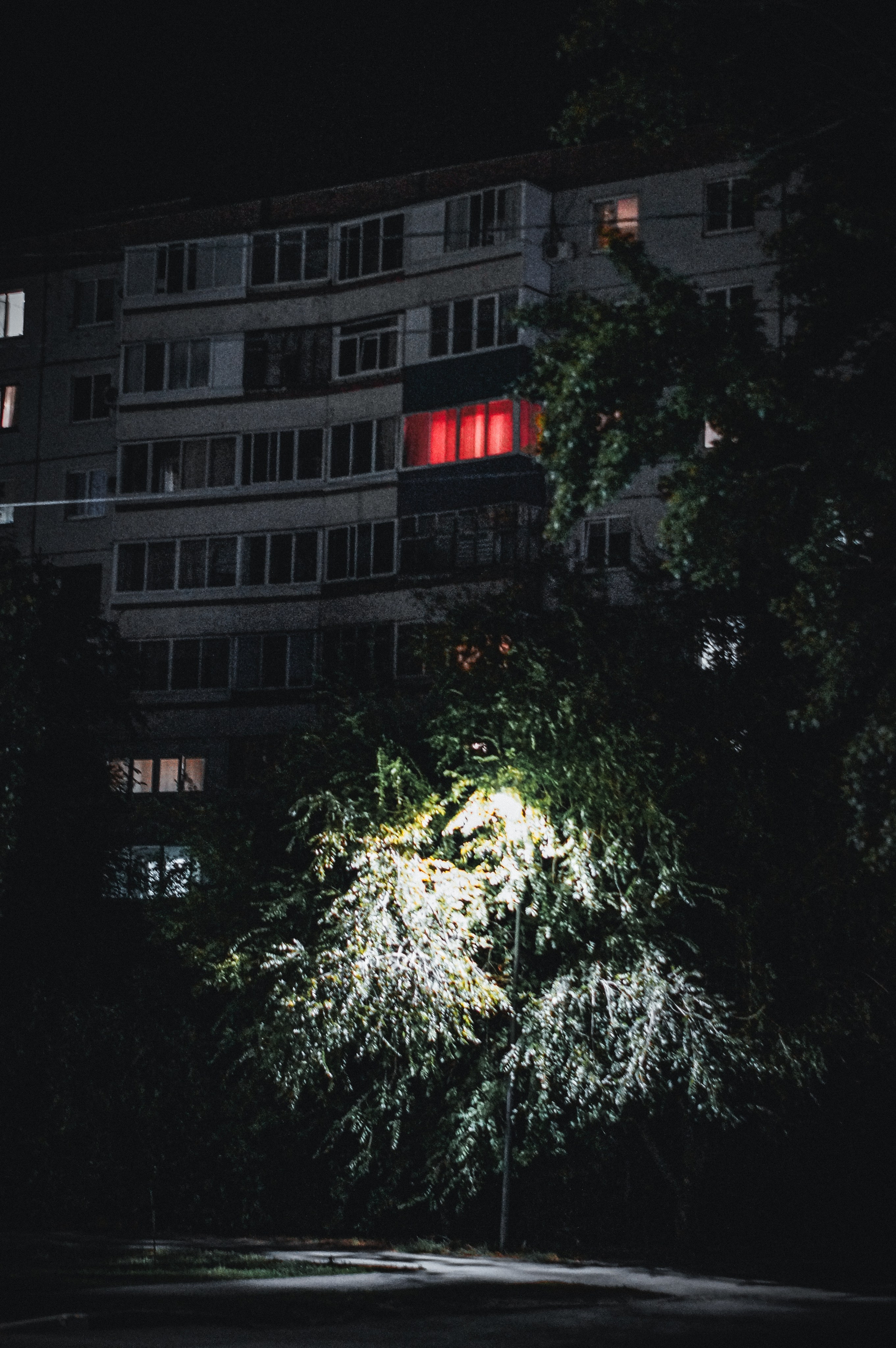 Street. S8C портретный, уличный и арт фотограф, в Саратовской области и г. Балаково