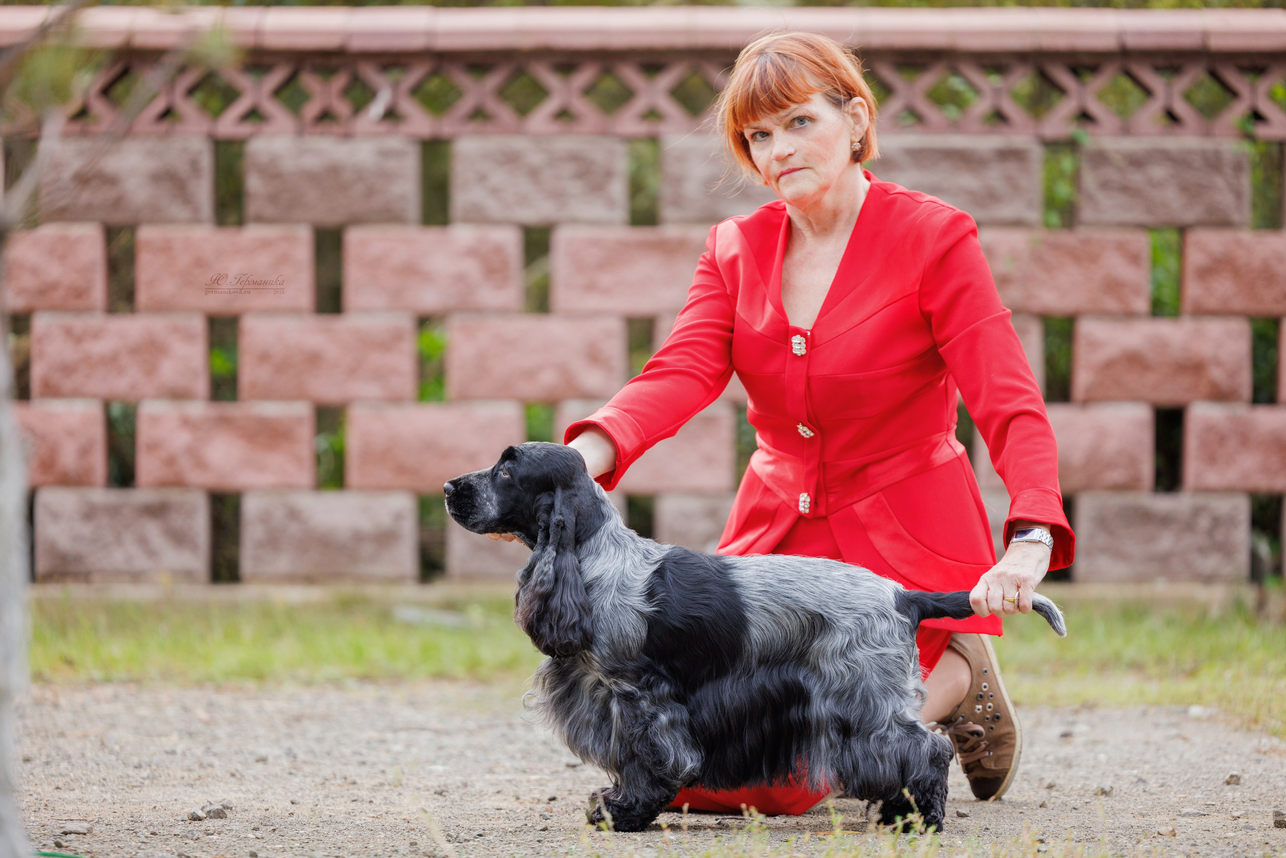 Астана 2хCACIB 17-18.08.2024. Фотограф-анималист Юлия Германика