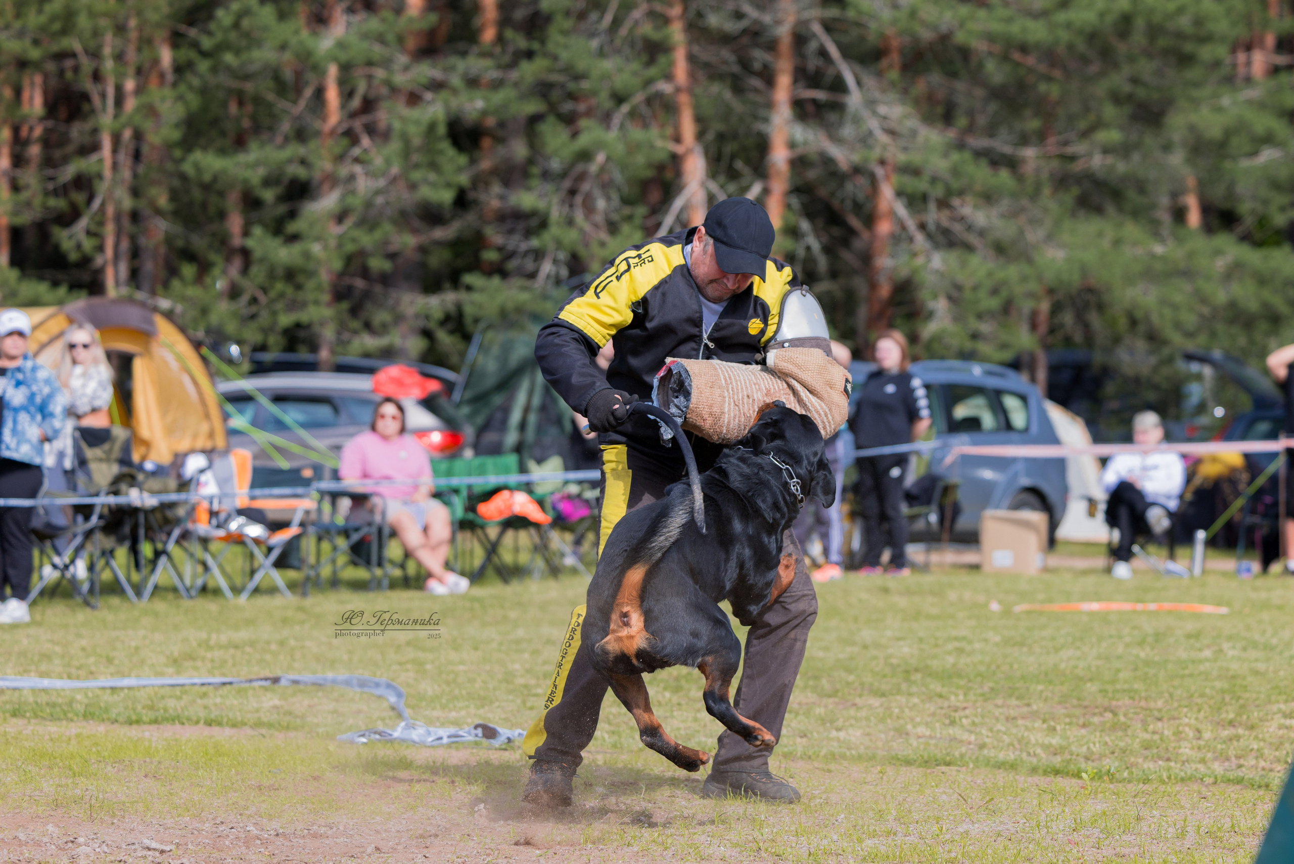 Тверь ротвейлеры 5-6.07.2025. Фотограф-анималист Юлия Германика