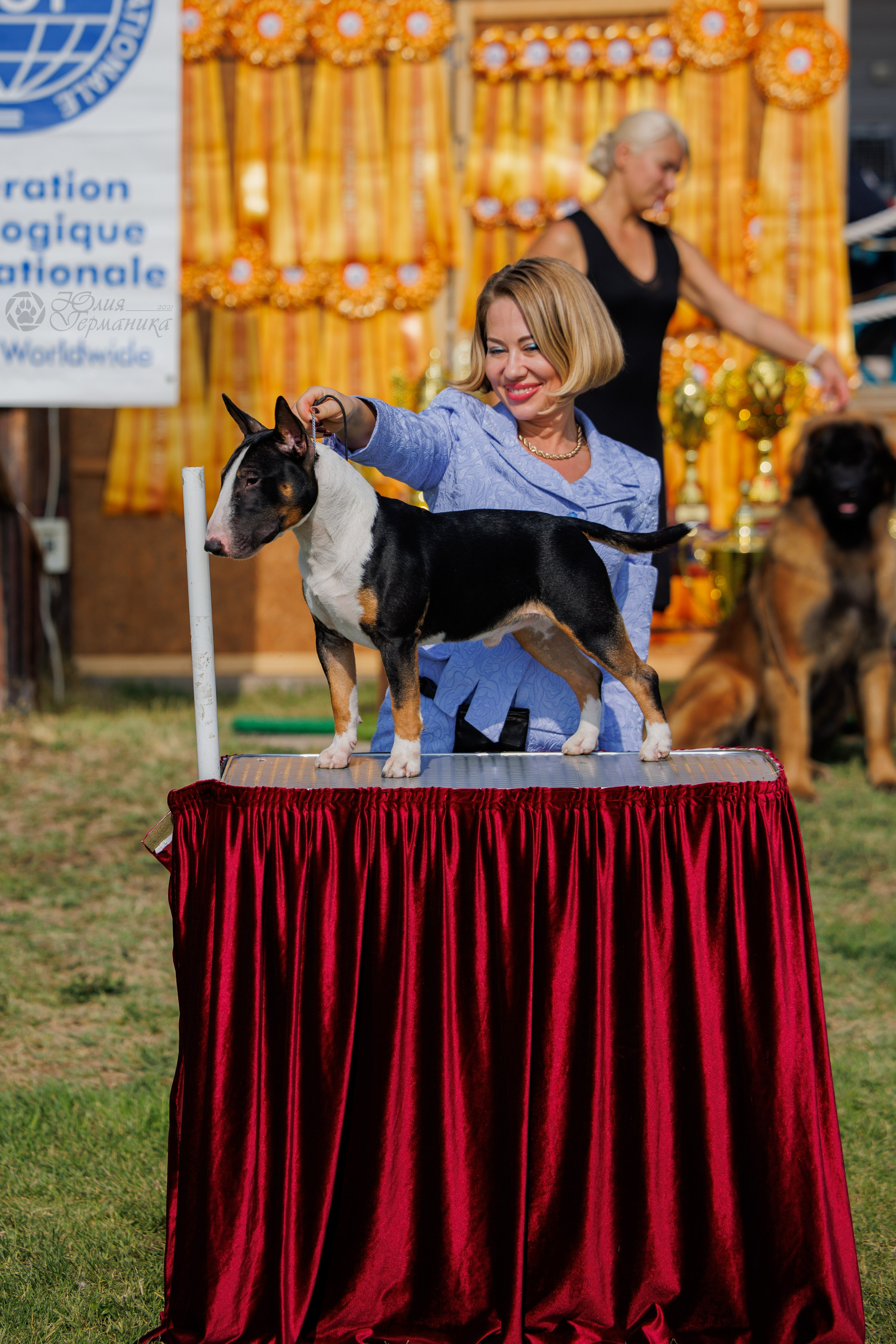Армения,Ереван 3хCACIB 15-17.10.2024. Фотограф-анималист Юлия Германика