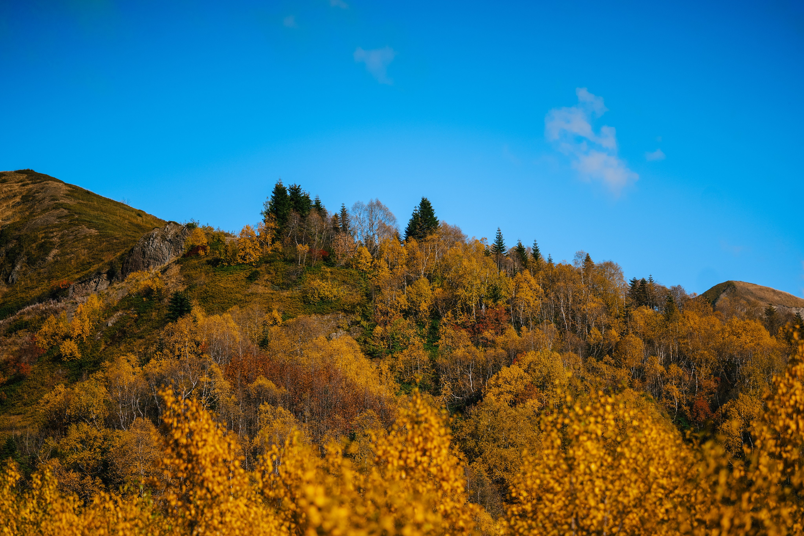Роза Пик, тропа Турья ✽ Октябрь. Репортажный фотограф | Роза Хутор Красная Поляна Сочи Сириус