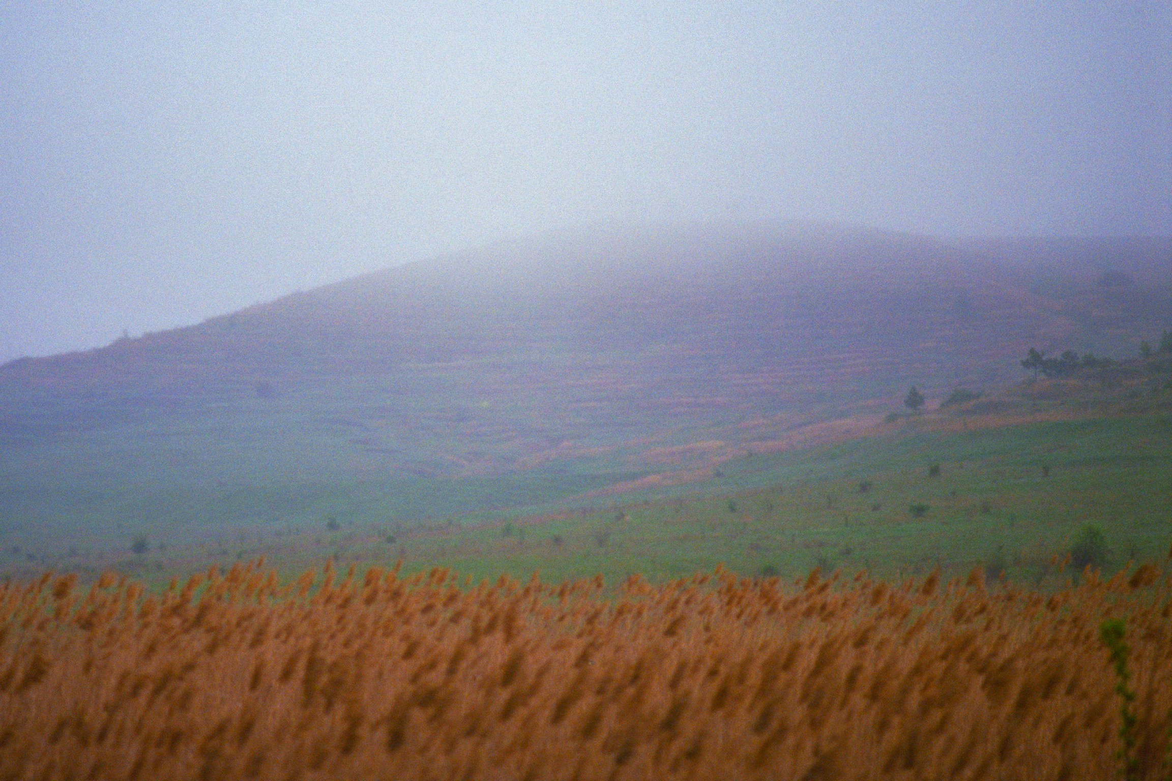 Природа. Василий Буйлов|Vasilii Builov