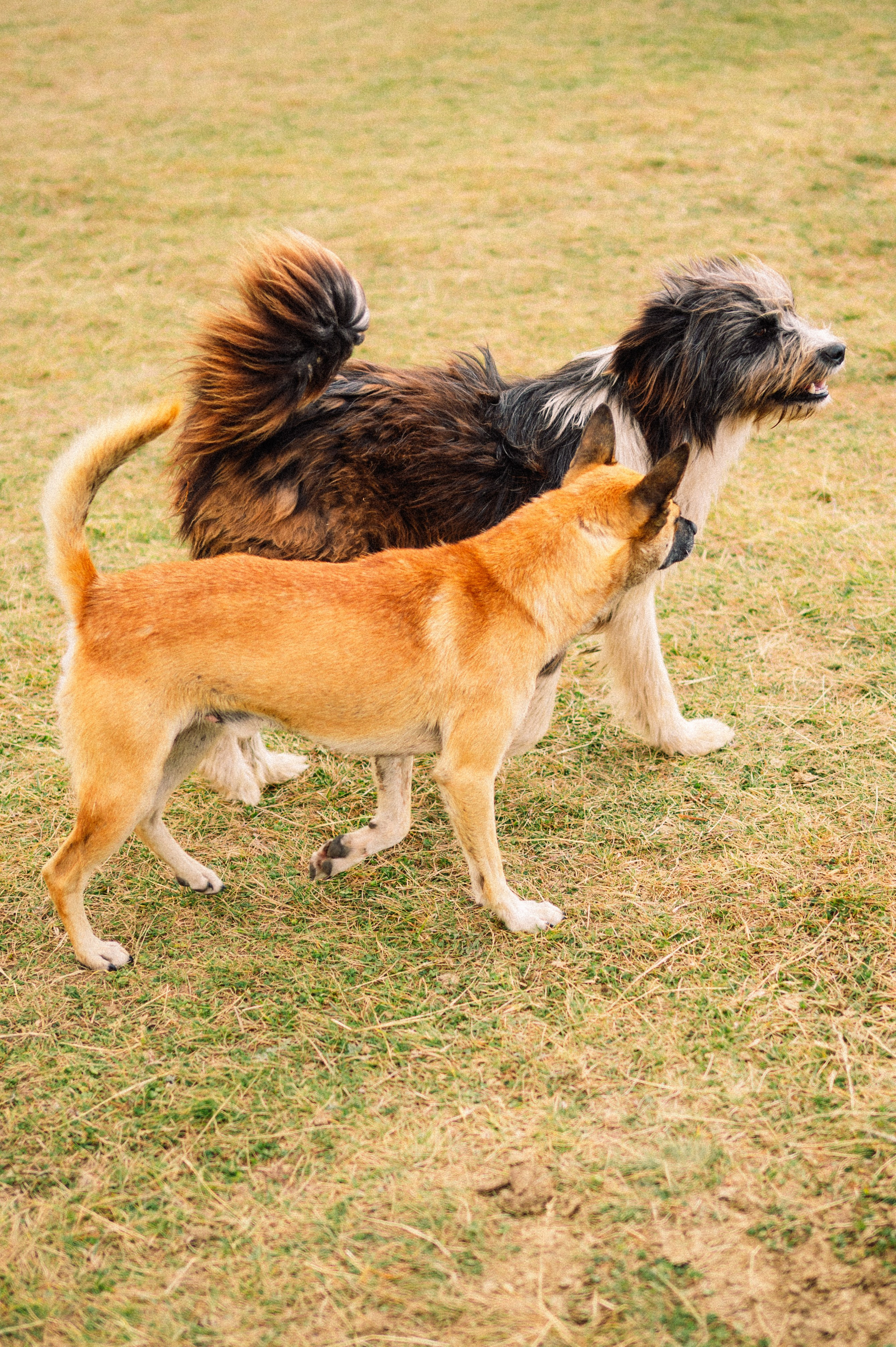 Плато Ассы: июль 2025. Фотограф в Алматы — Дарья Фёдорова