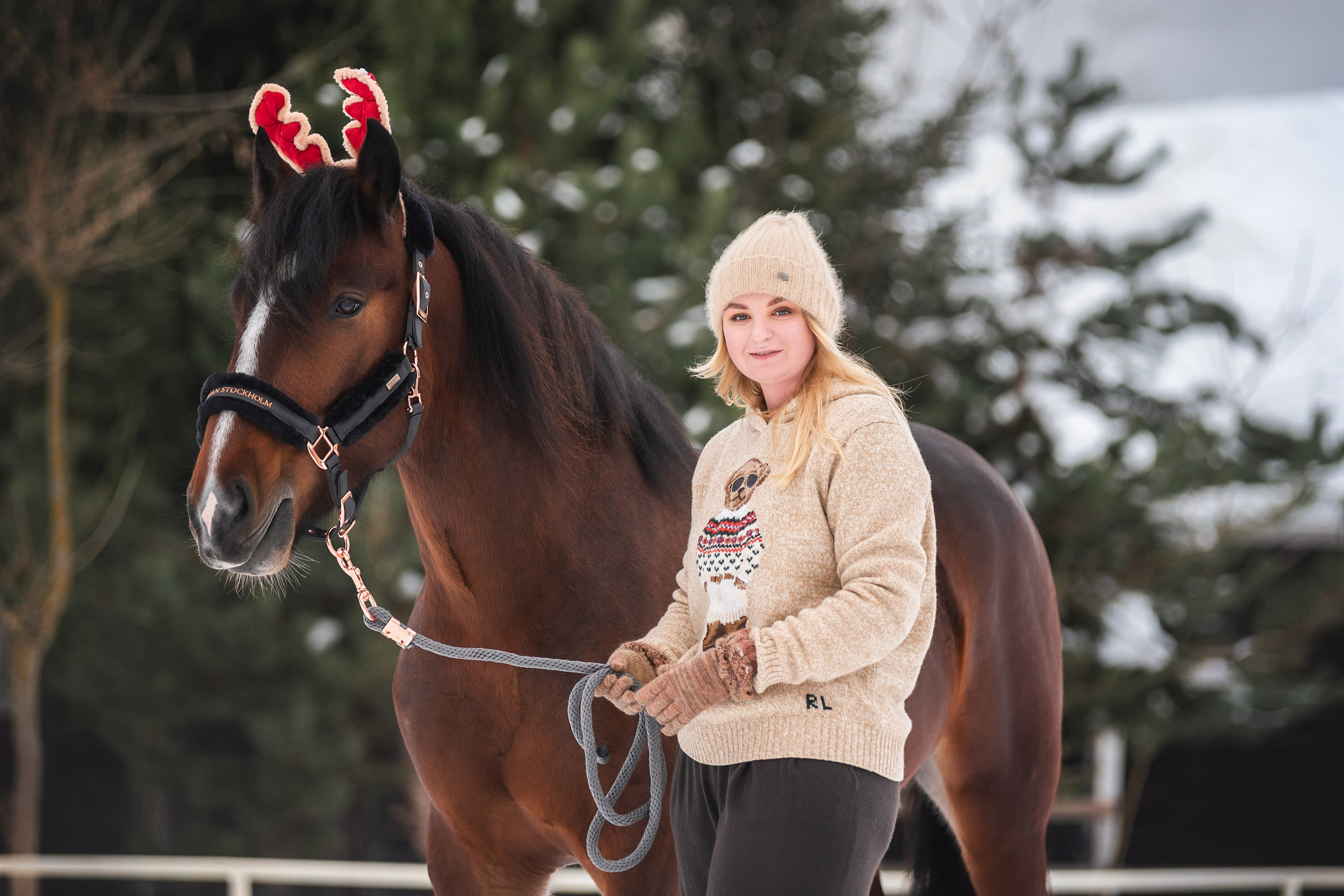 Новогодний Волконский. Конный фотограф Куракина Дарья • Фотосессии с лошадьми