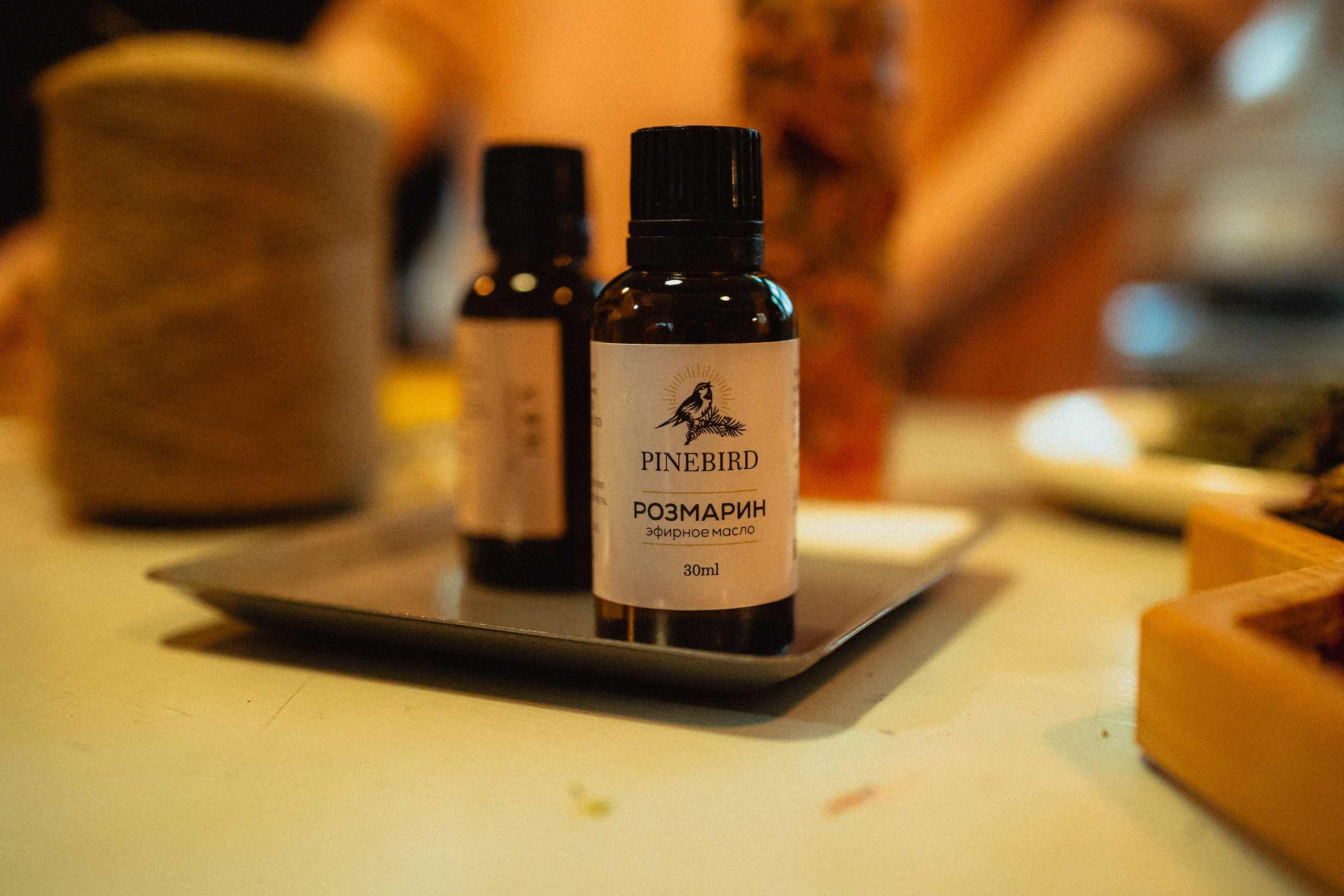 Выездной дог-тренинг от школы «Шерсть имею»