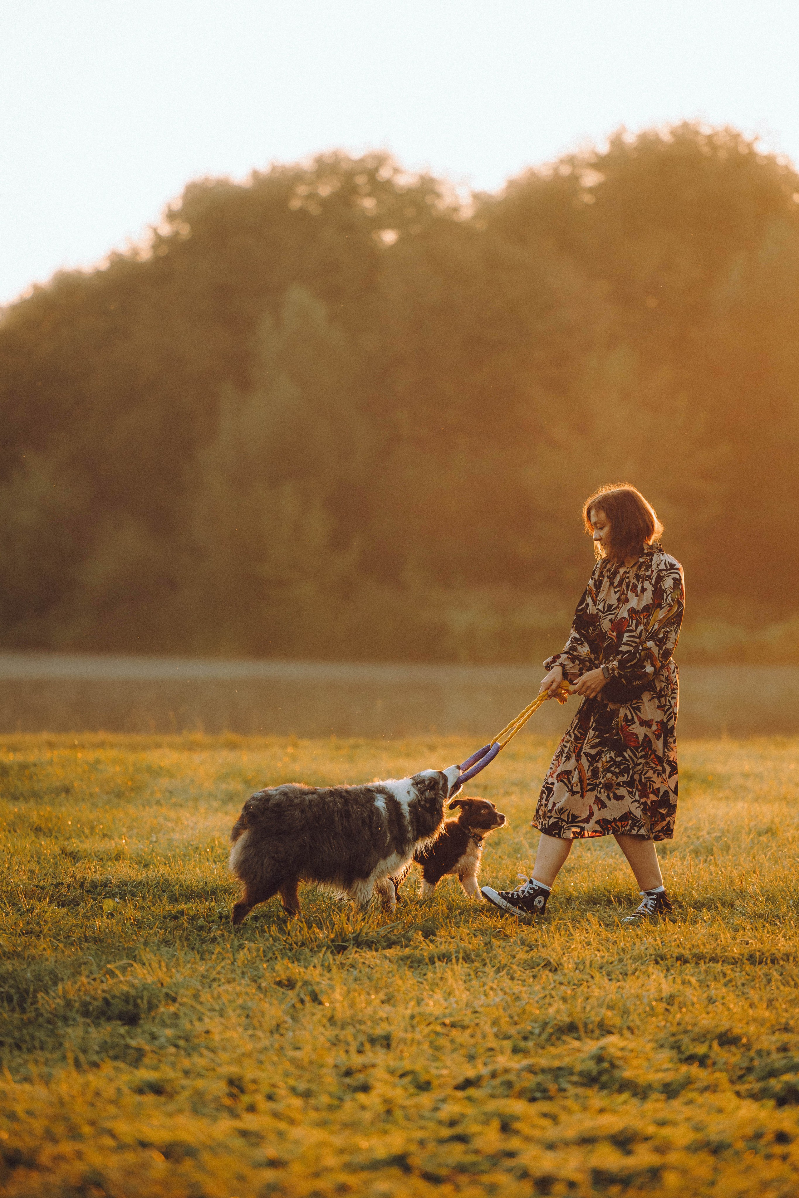 Лена, Принц и Фенек