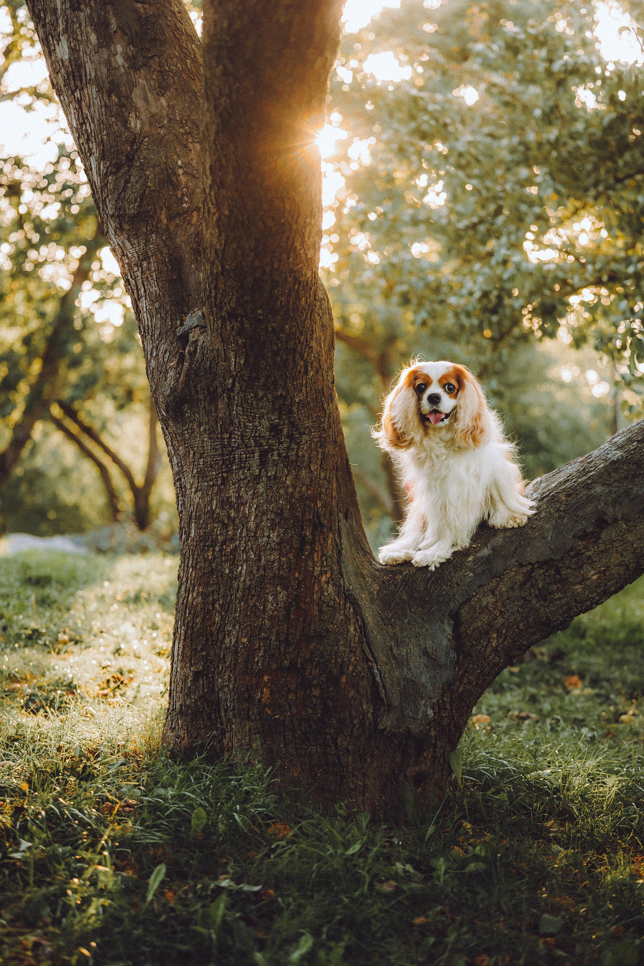 Наташа и Вики