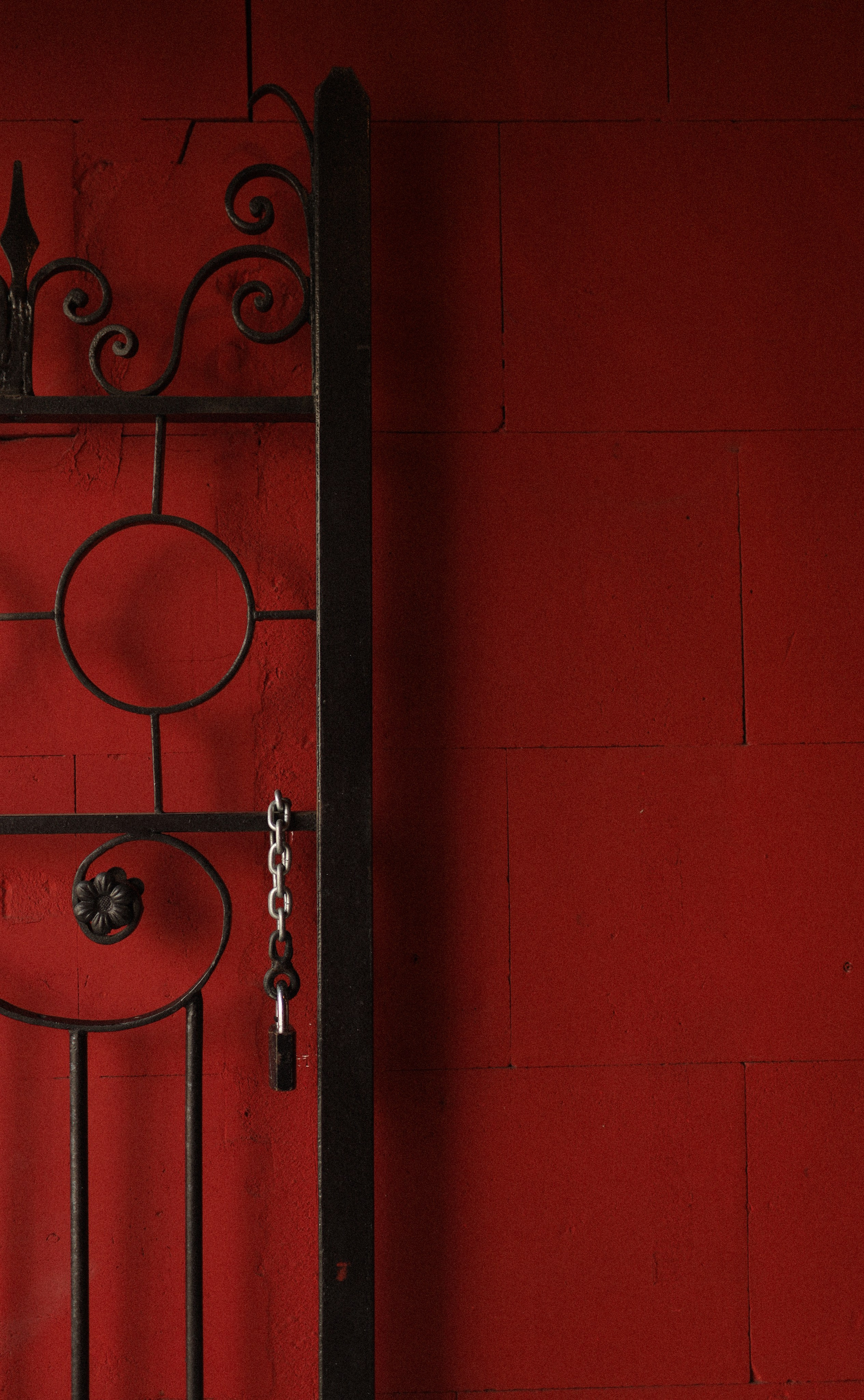 Любить. Фотограф Воронцова Виталия Крым Севастополь