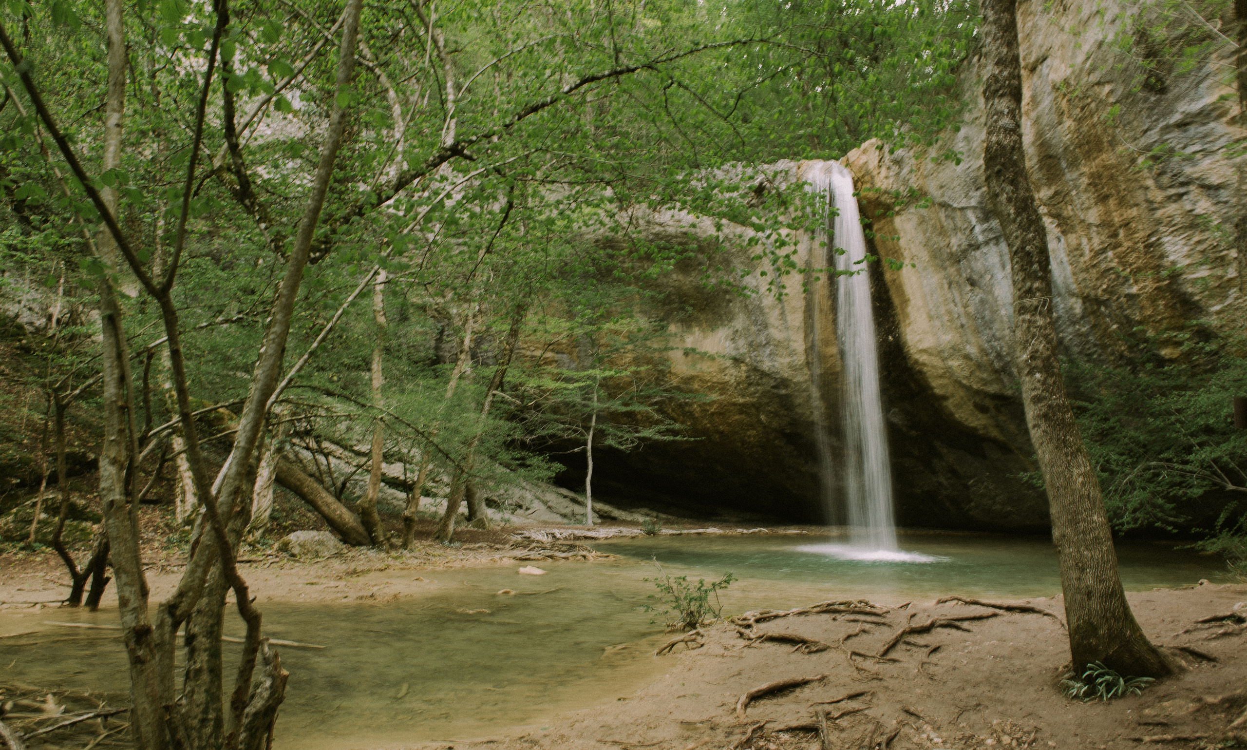 Татьяна и Михаил (Севастополь). Свадебный, женский, семейный фотограф в Севастополе Юлия Мошенко