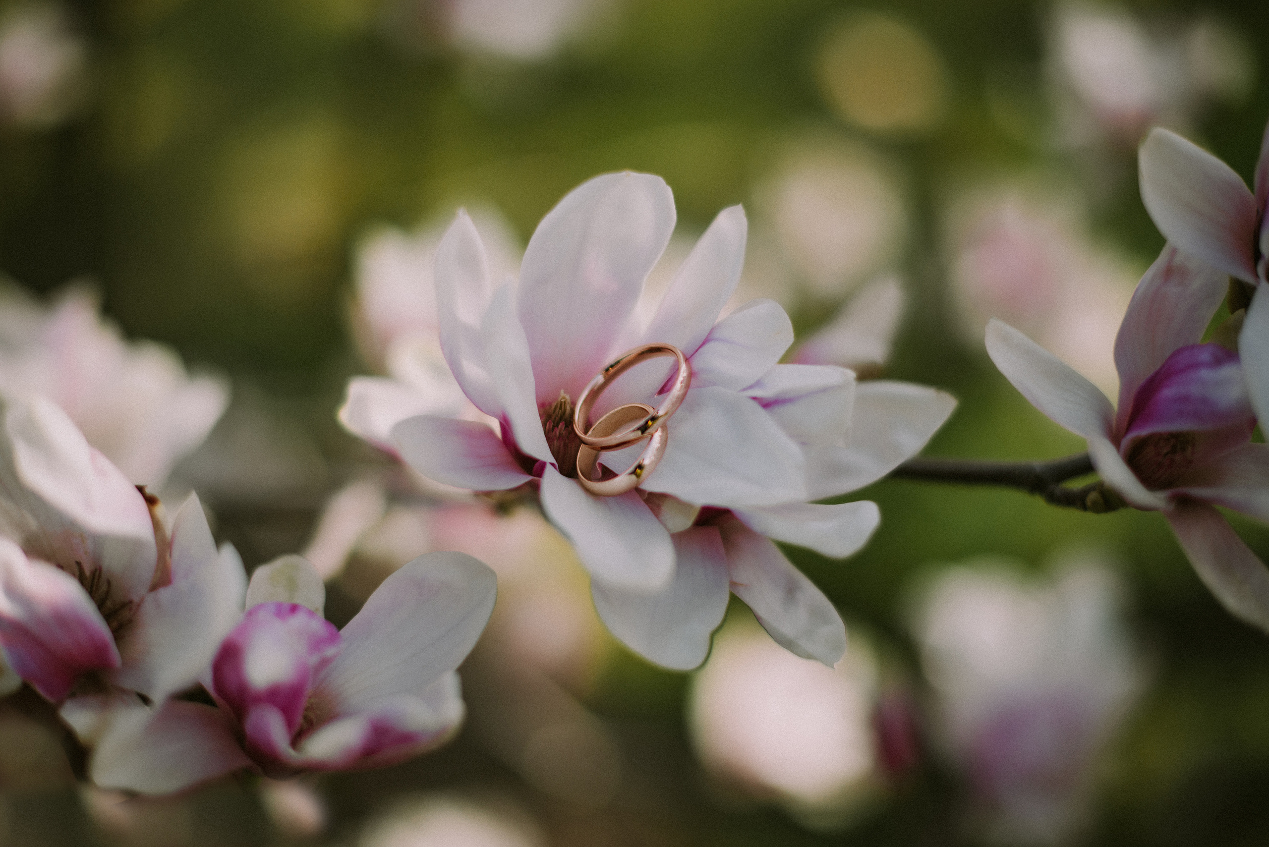 Лиза и Влад (Севастополь). Свадебный, женский, семейный фотограф в Севастополе Юлия Мошенко