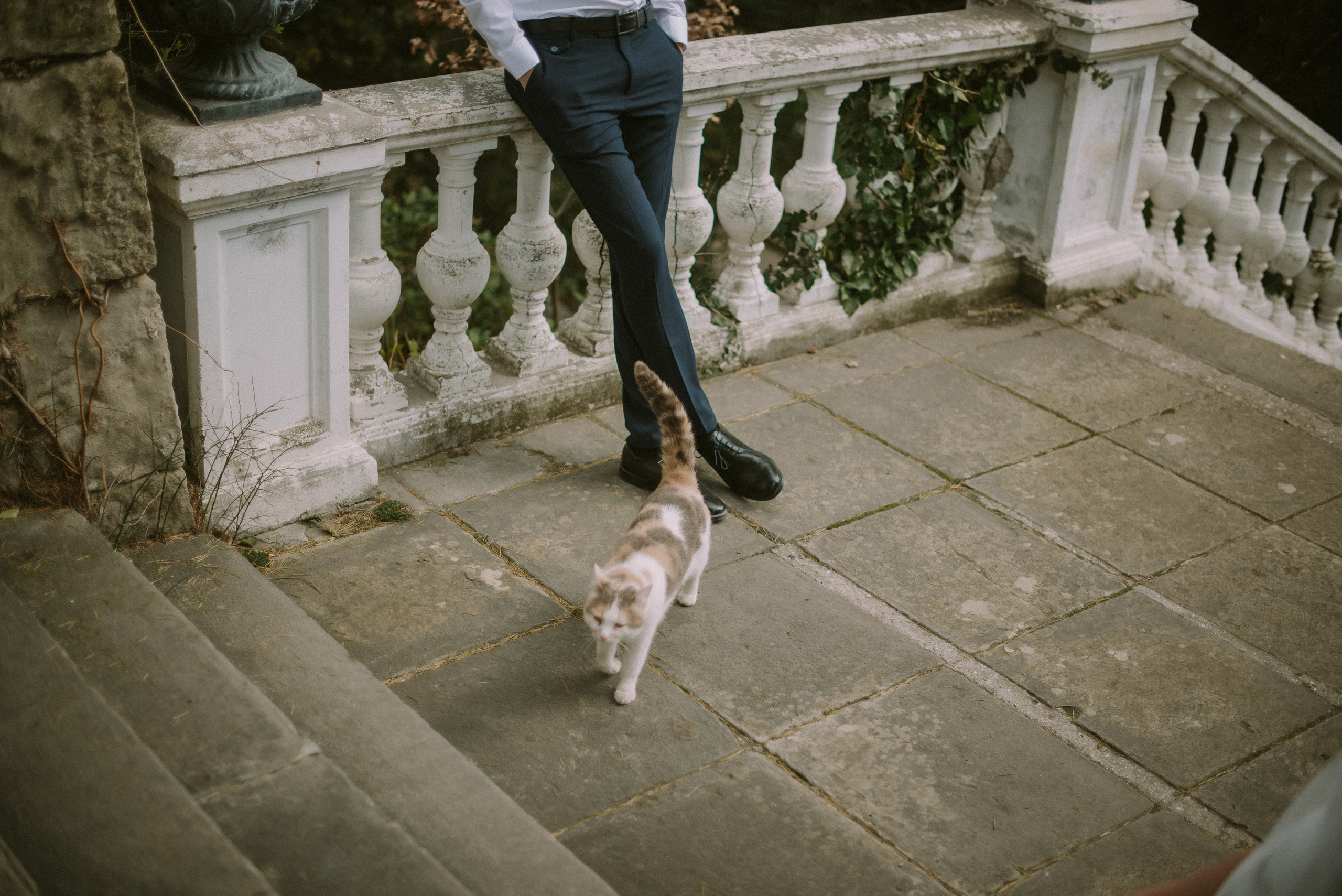 Ксения и Илья (Севастополь). Свадебный, женский, семейный фотограф в Севастополе Юлия Мошенко