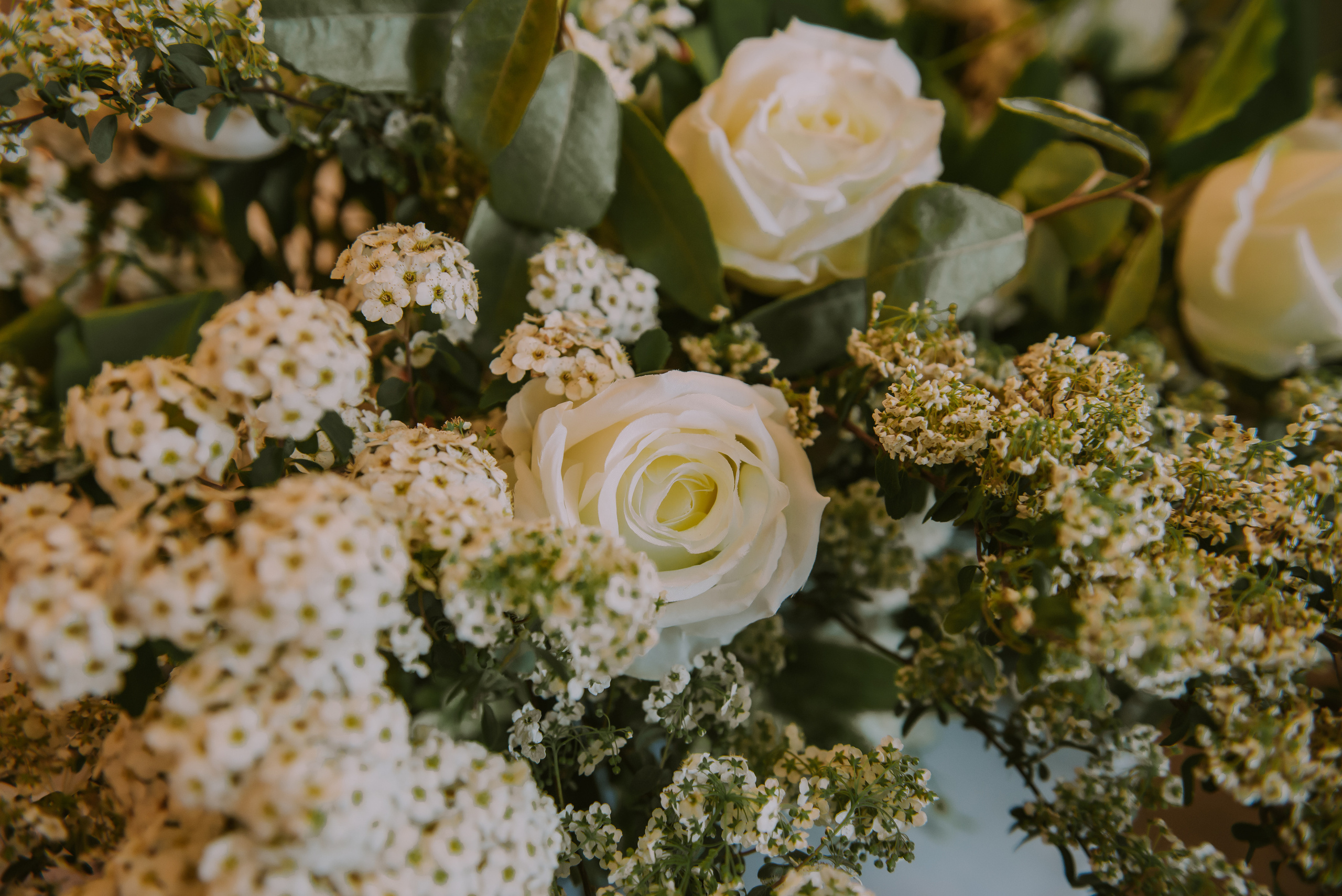 Маша и Миша (Севастополь). Свадебный, женский, семейный фотограф в Севастополе Юлия Мошенко