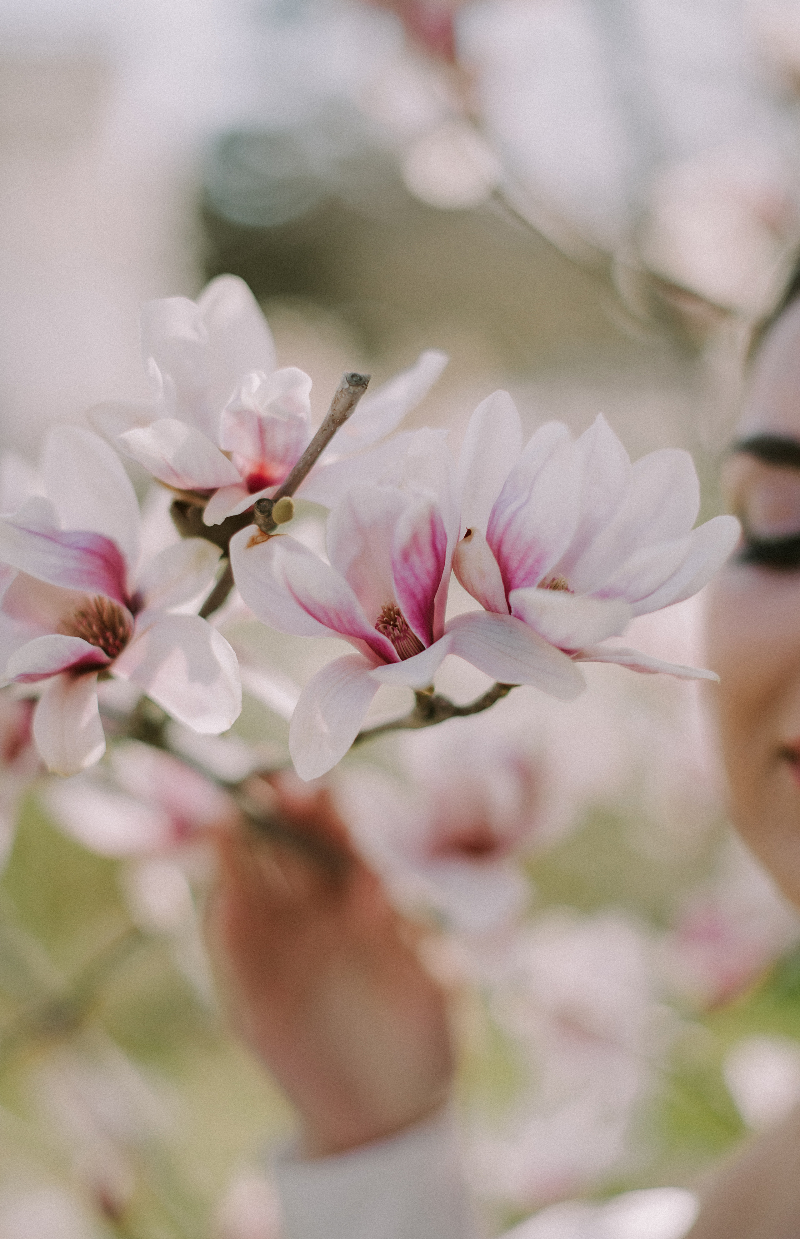 Лиза и Влад (Севастополь). Свадебный, женский, семейный фотограф в Севастополе Юлия Мошенко