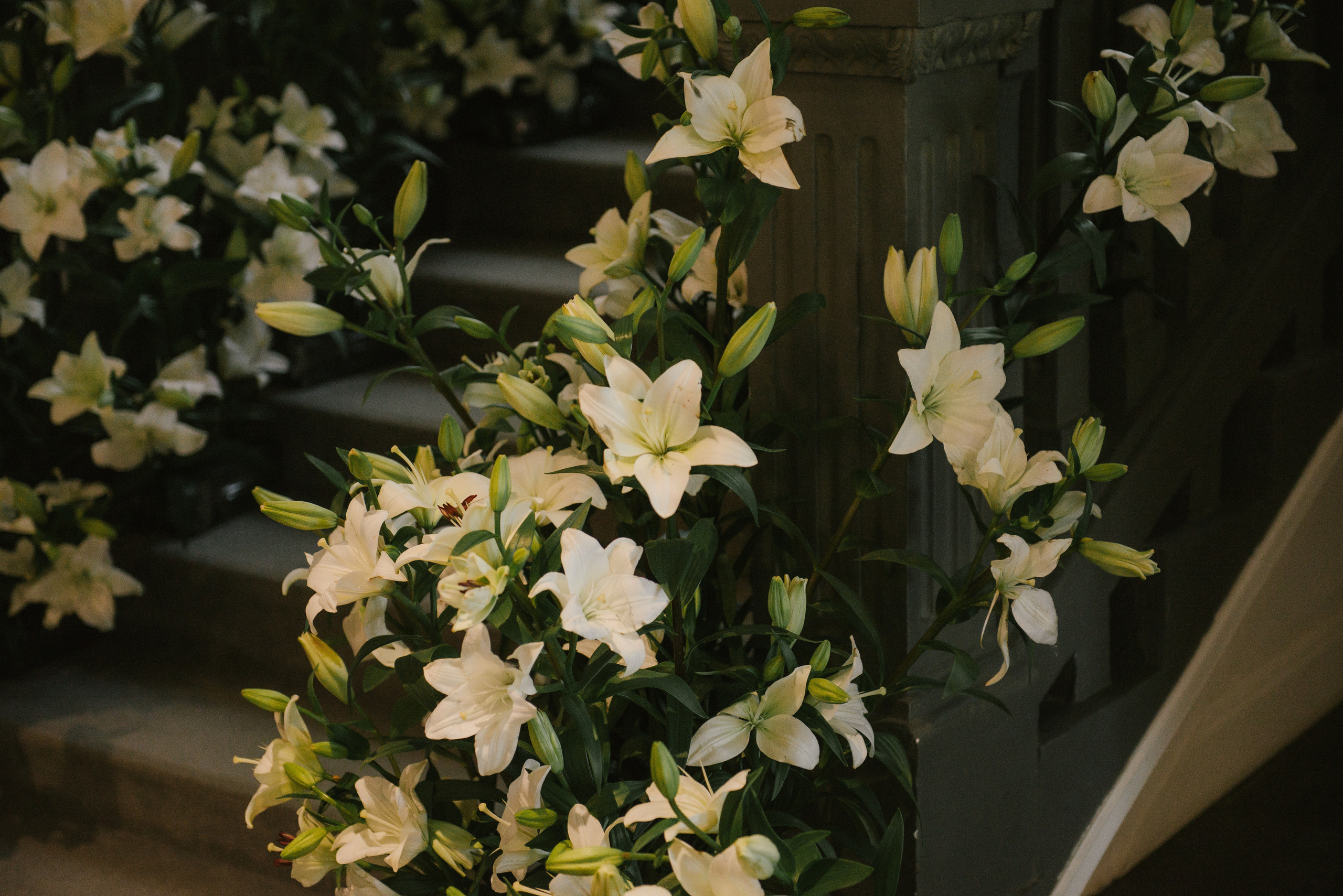 Виктория и Ростислав (Ялта). Свадебный, женский, семейный фотограф в Севастополе Юлия Мошенко