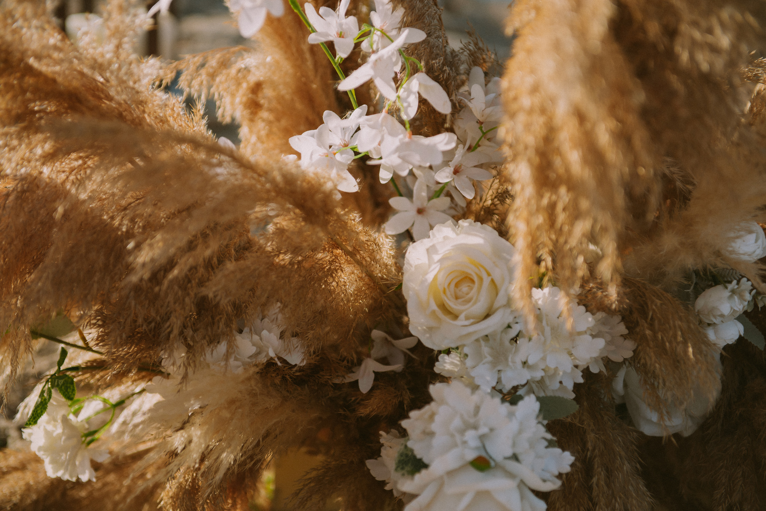 Маша и Миша (Севастополь). Свадебный, женский, семейный фотограф в Севастополе Юлия Мошенко