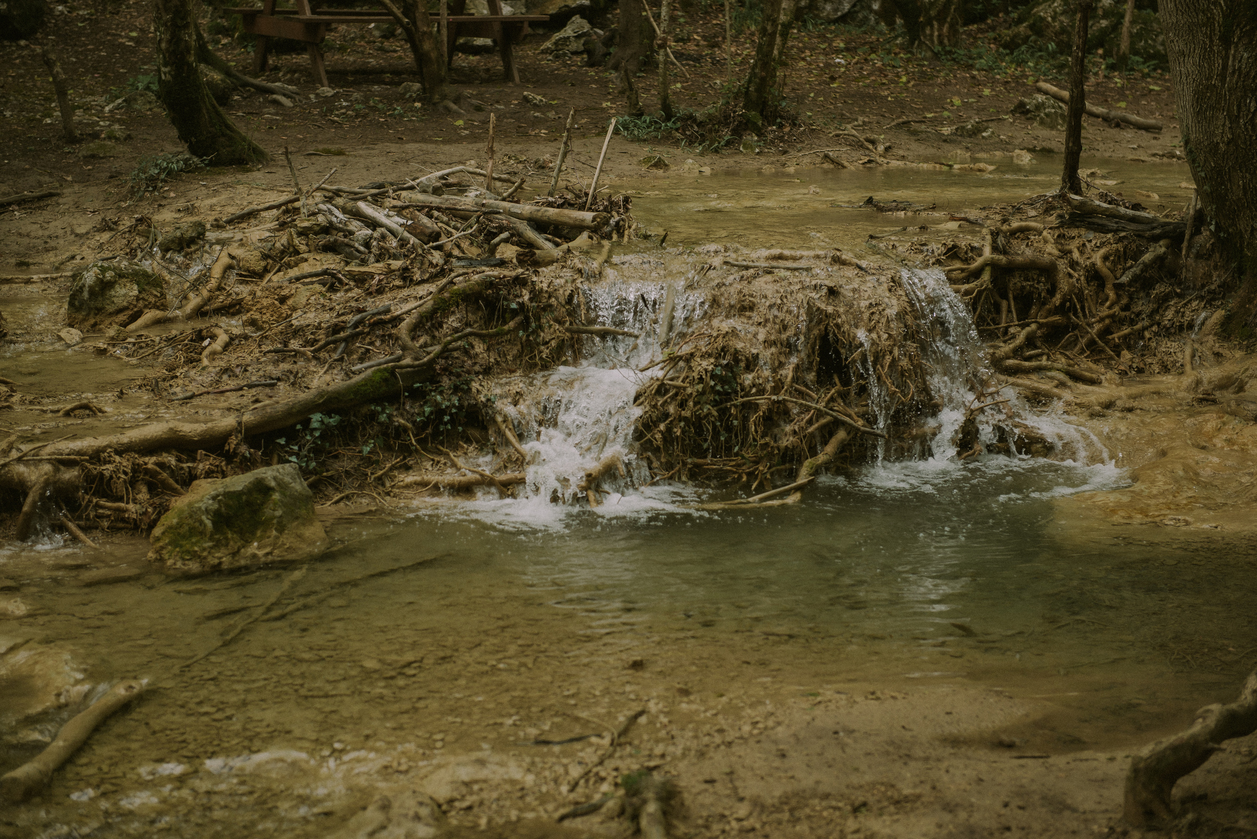 Татьяна и Михаил (Севастополь). Свадебный, женский, семейный фотограф в Севастополе Юлия Мошенко