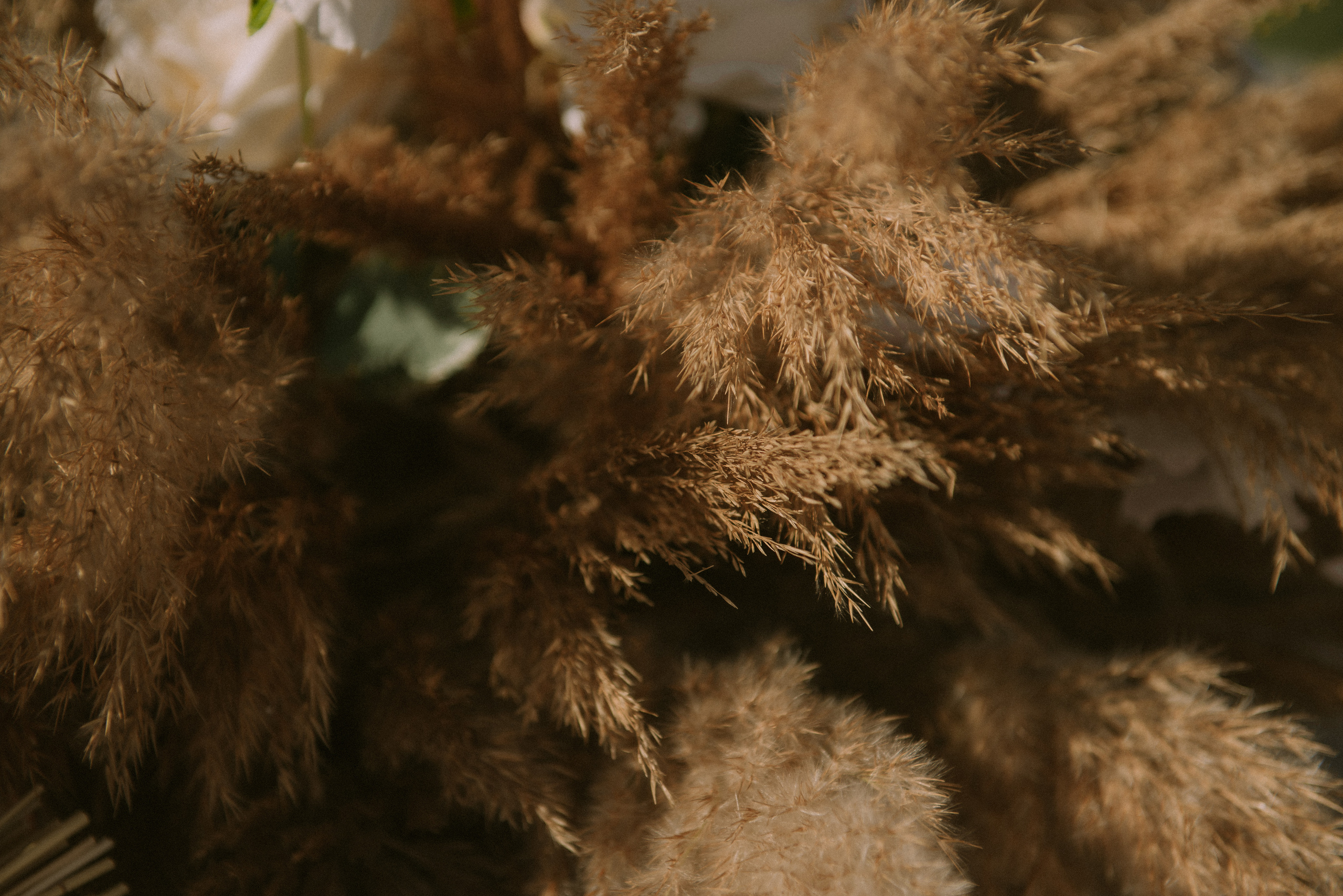 Маша и Миша (Севастополь). Свадебный, женский, семейный фотограф в Севастополе Юлия Мошенко