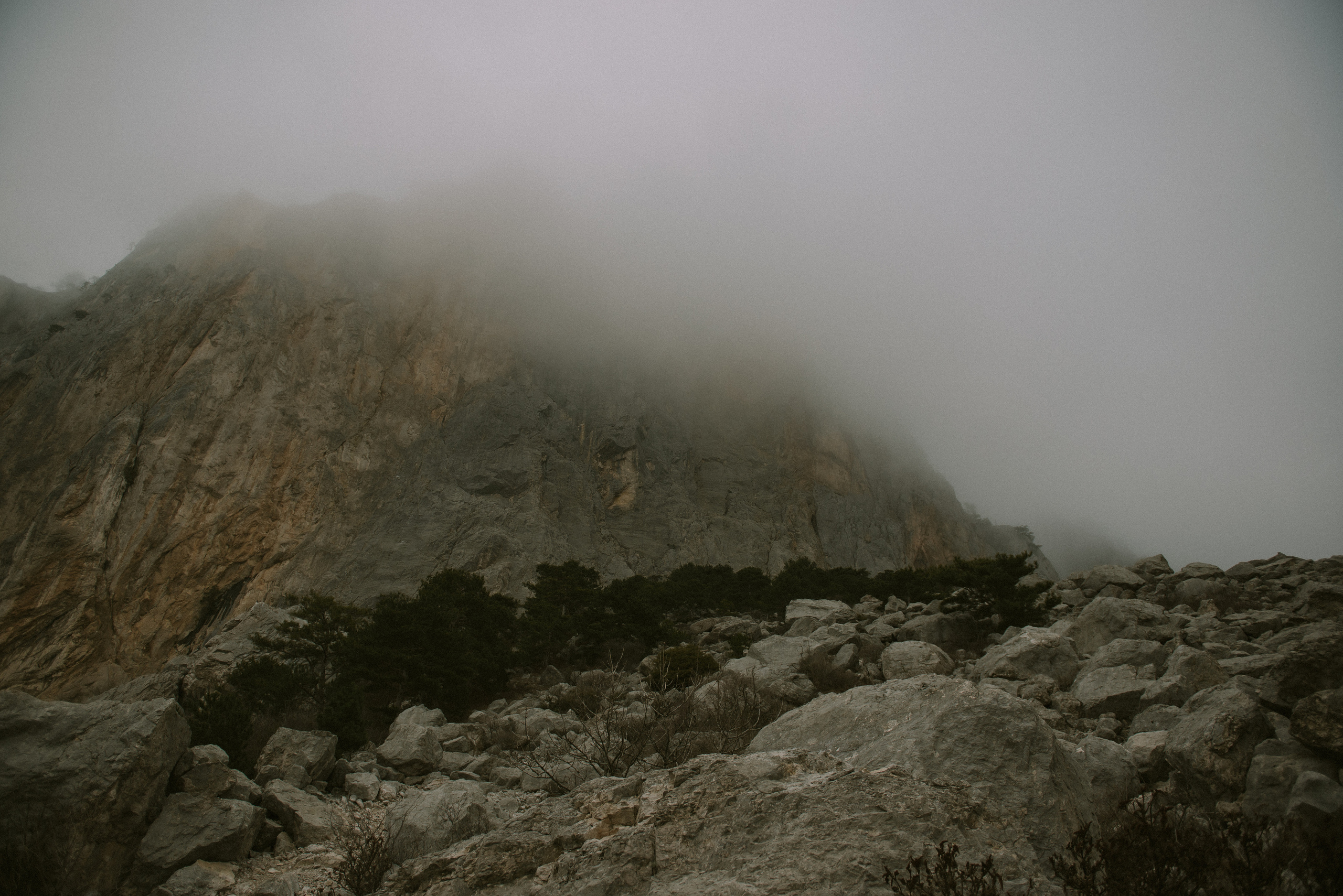 Ксения и Илья (Севастополь). Свадебный, женский, семейный фотограф в Севастополе Юлия Мошенко