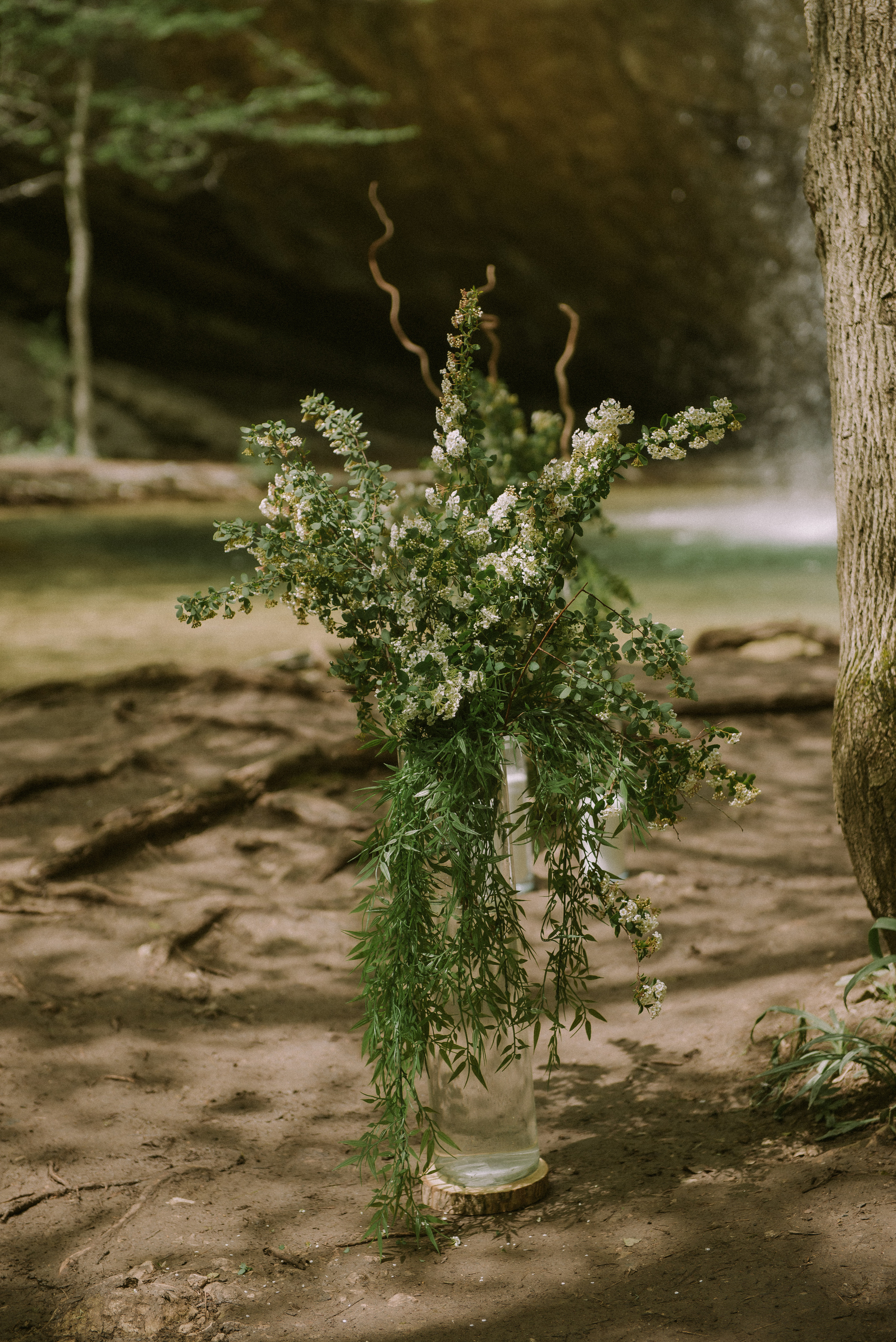 Татьяна и Михаил (Севастополь). Свадебный, женский, семейный фотограф в Севастополе Юлия Мошенко