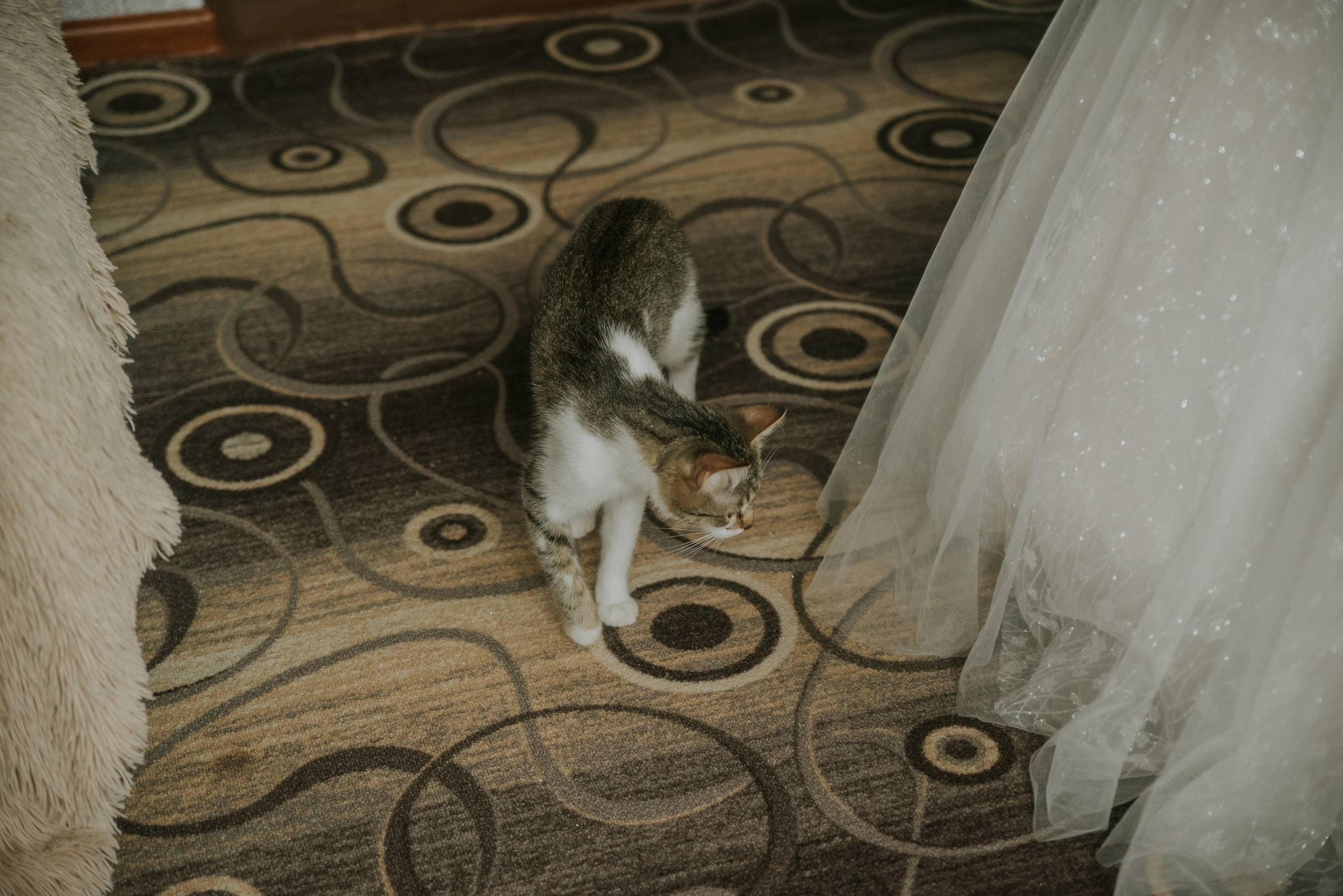 Дарья и Альбер (Балаклава). Свадебный, женский, семейный фотограф в Севастополе Юлия Мошенко