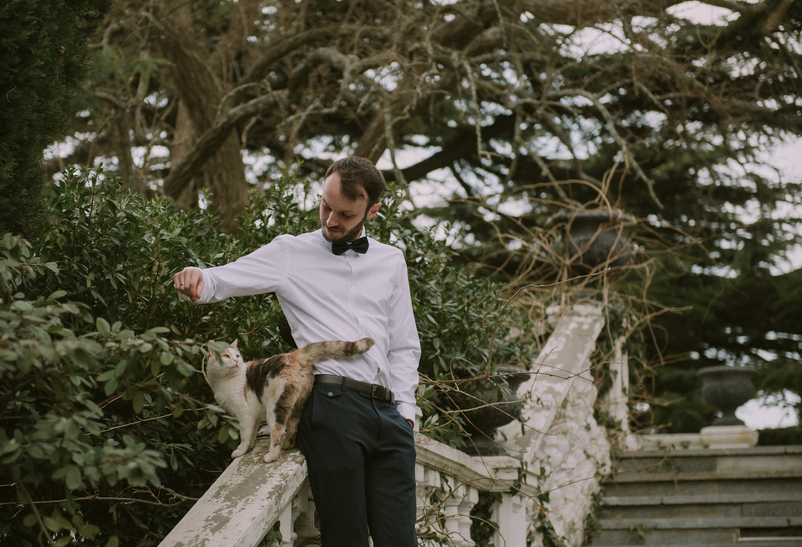 Ксения и Илья (Севастополь). Свадебный, женский, семейный фотограф в Севастополе Юлия Мошенко