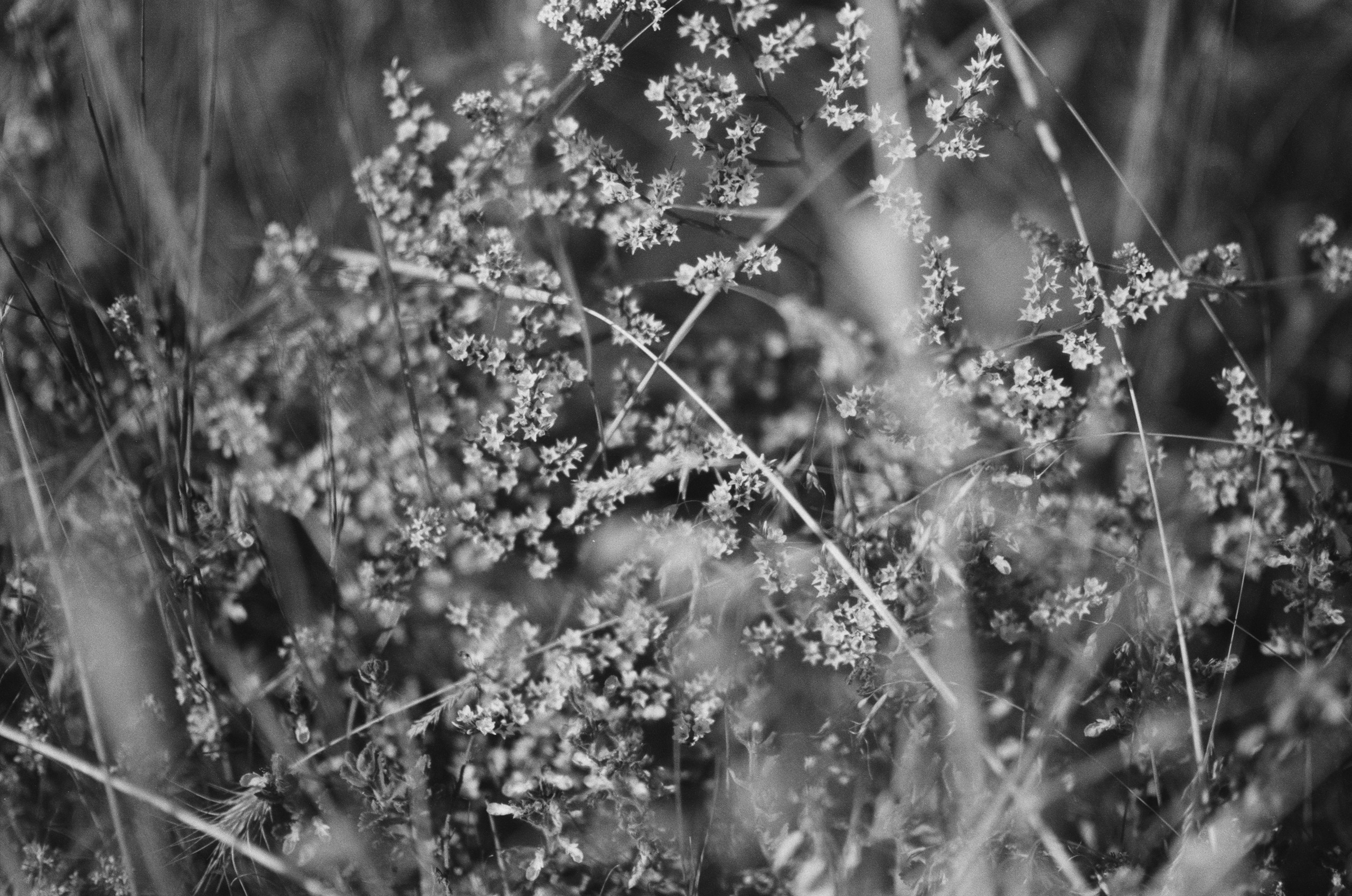 Plastinki // ukraine, crimea II. EVER EXPOSED