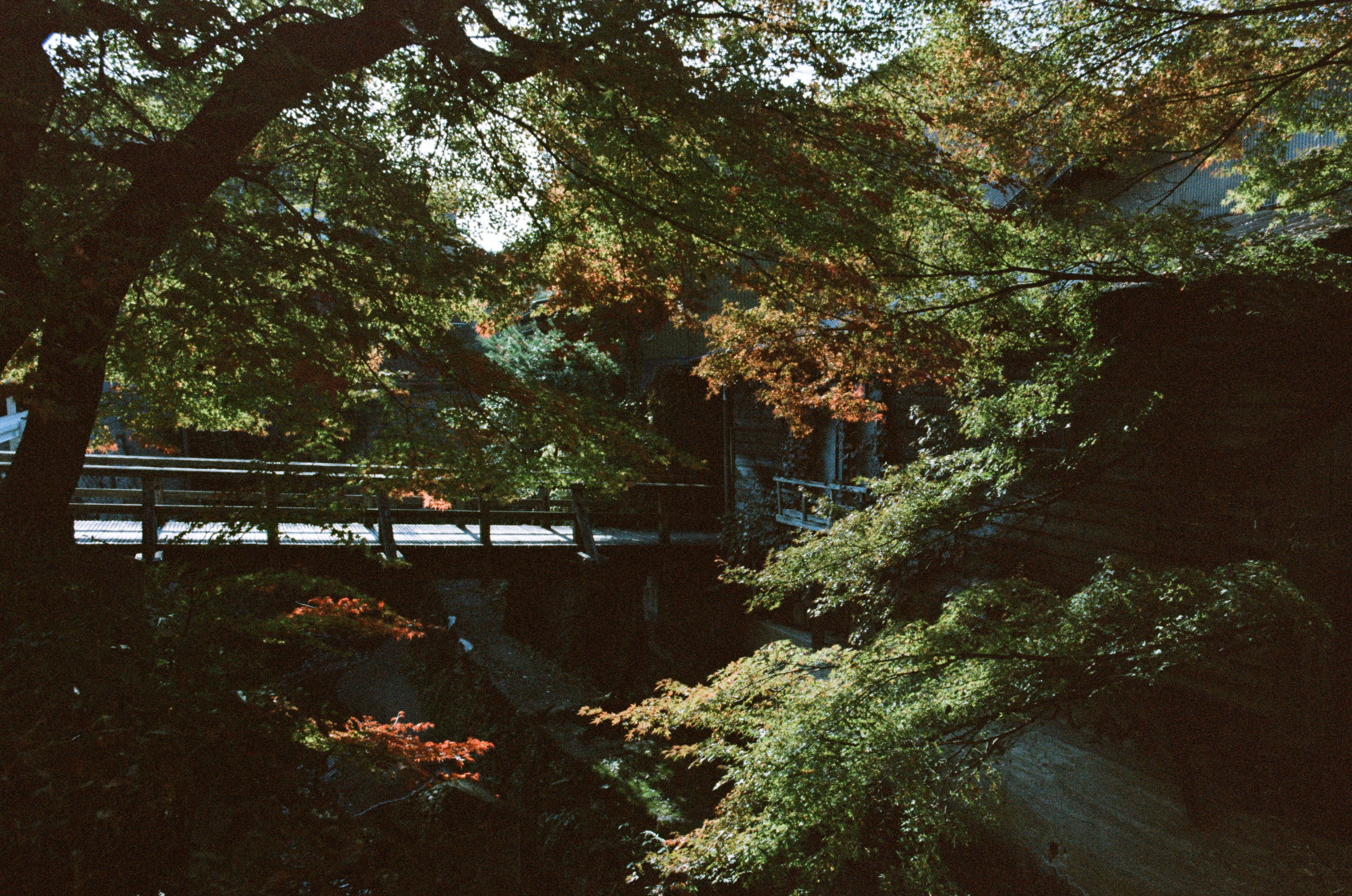Out of noise // japan, takayama II. EVER EXPOSED