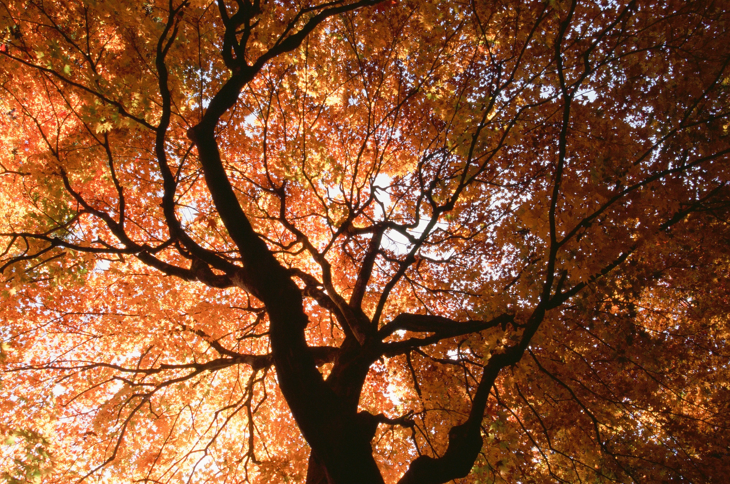 Out of noise // japan, takayama III. EVER EXPOSED