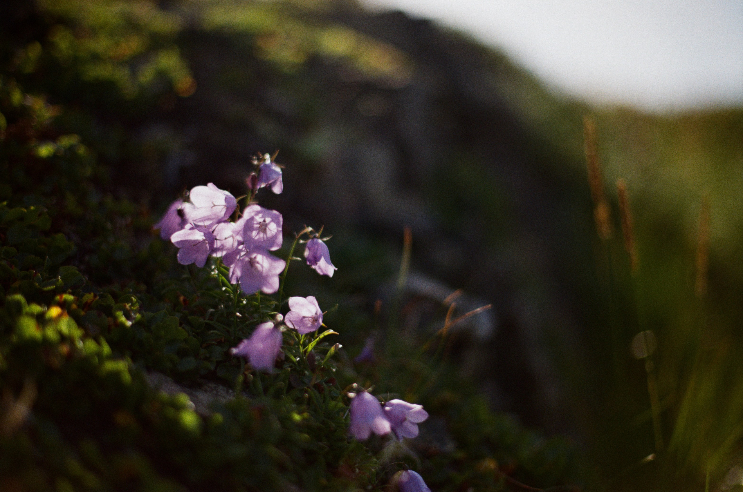 High and dry // kola peninsula II. EVER EXPOSED