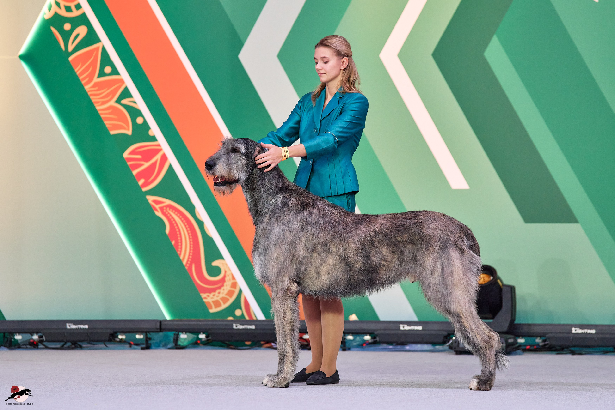 17.11.2024 «ЕВРАЗИЯ. КУБОК СНГ 2024»